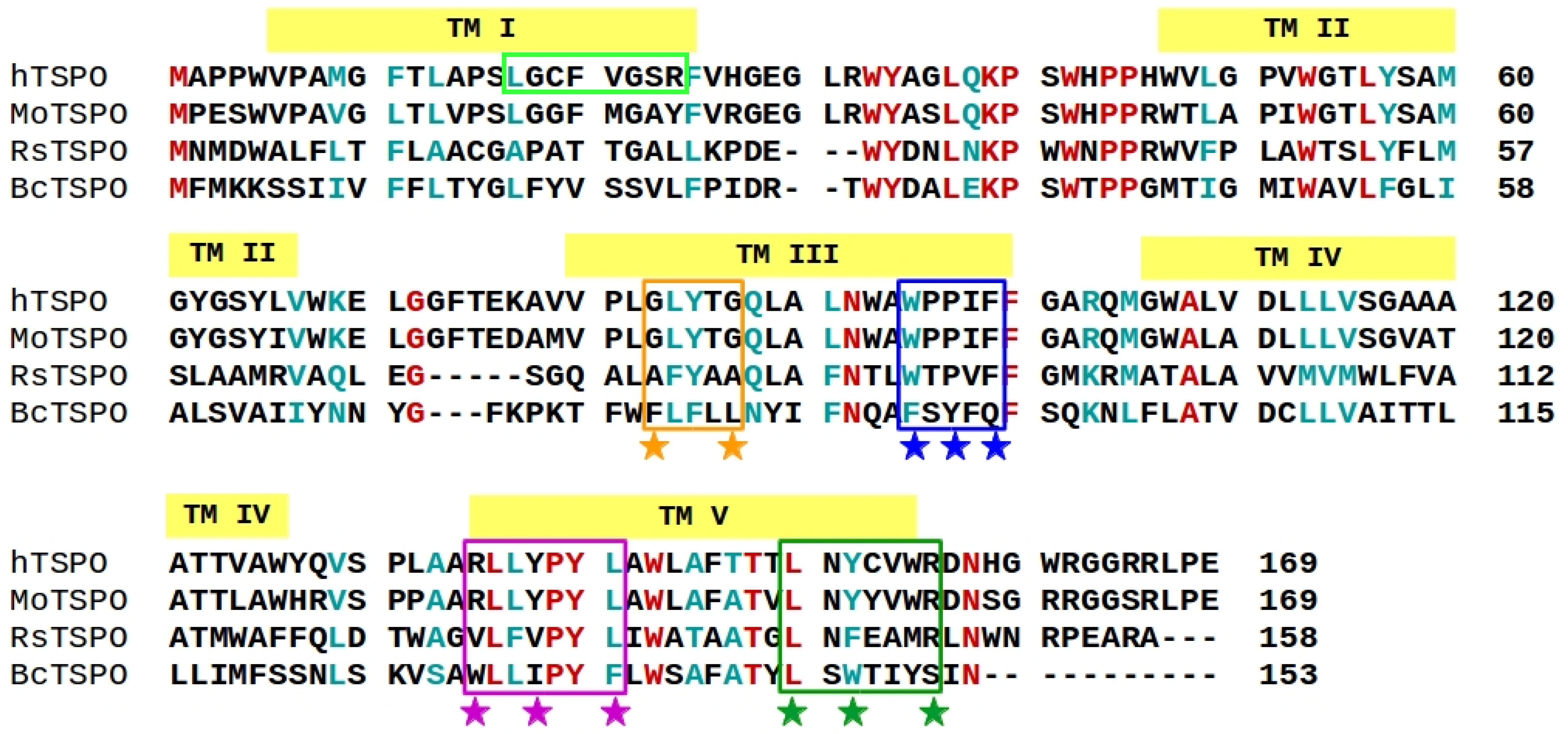 Molecules 26 01250 g001