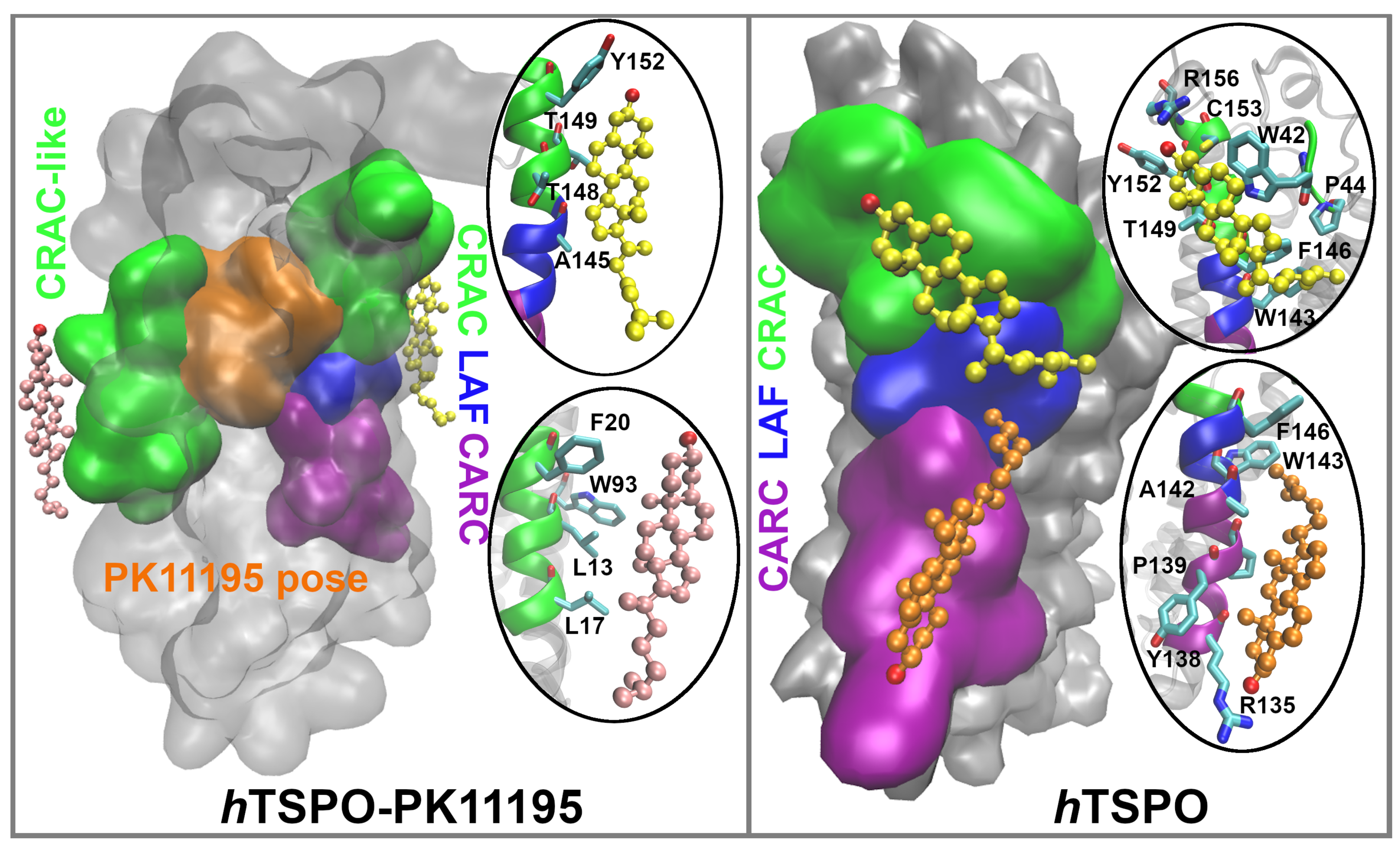 Molecules 26 01250 g008