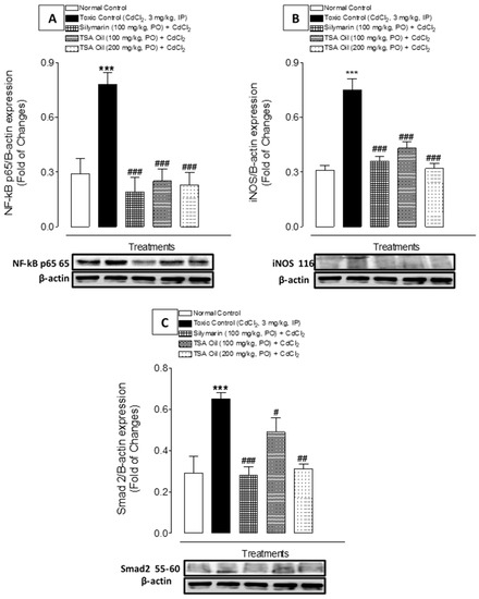 Molecules Special Issue Essential Oils 2021