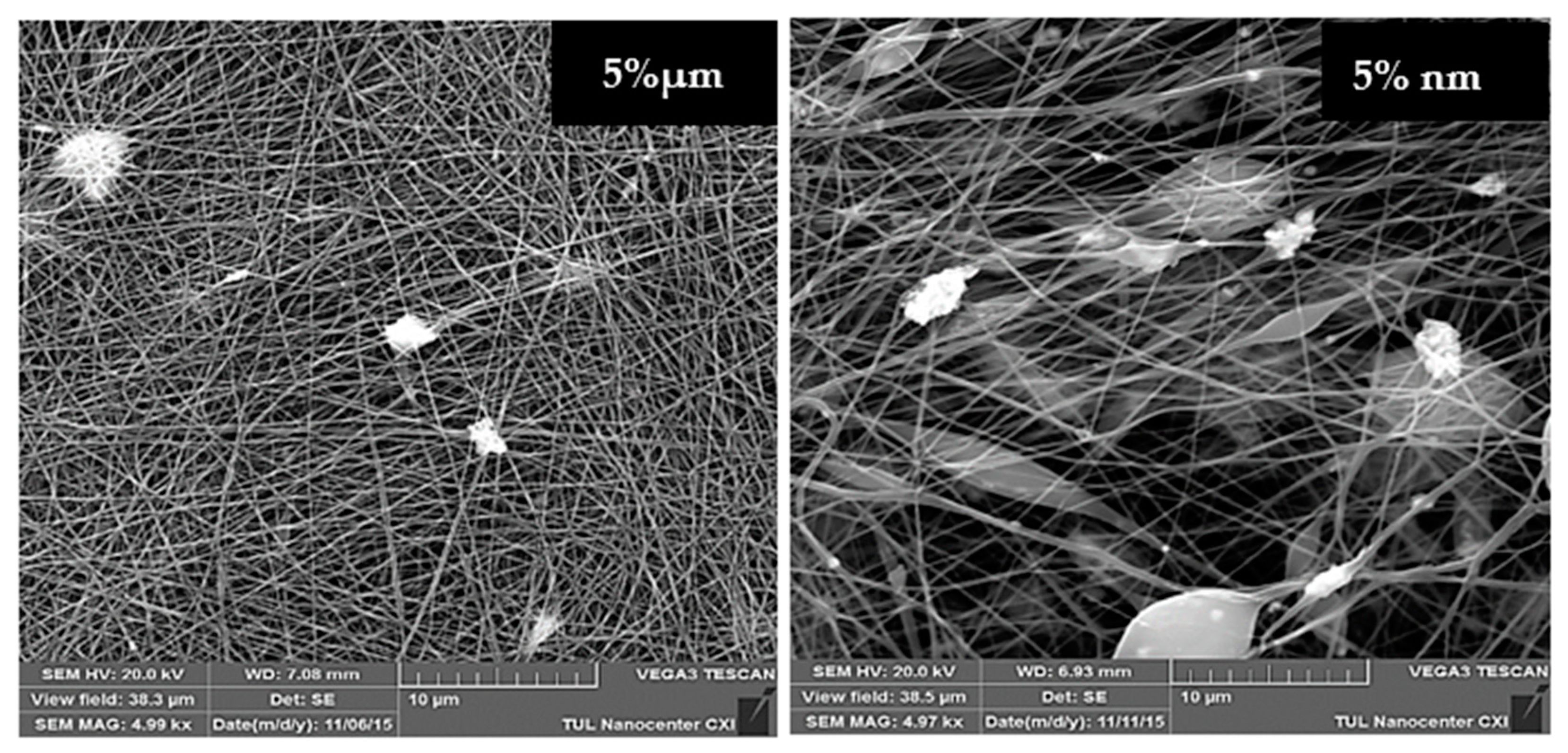 Molecules 26 01255 g006