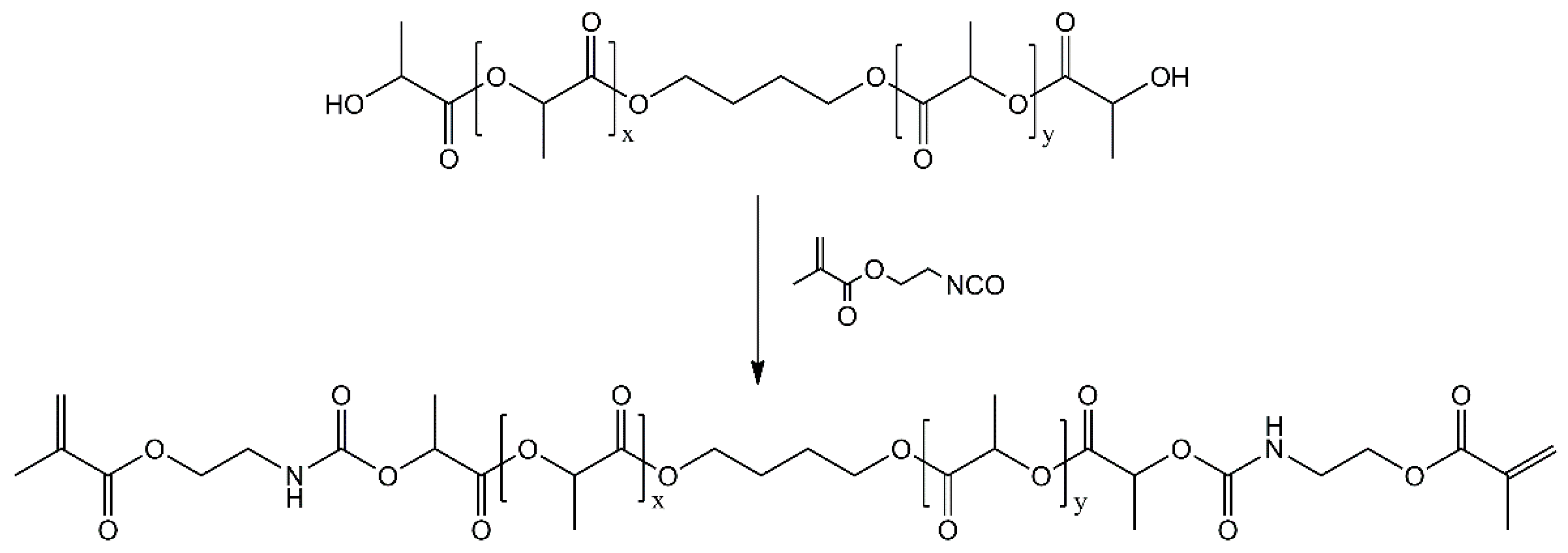 Molecules 26 01256 g021