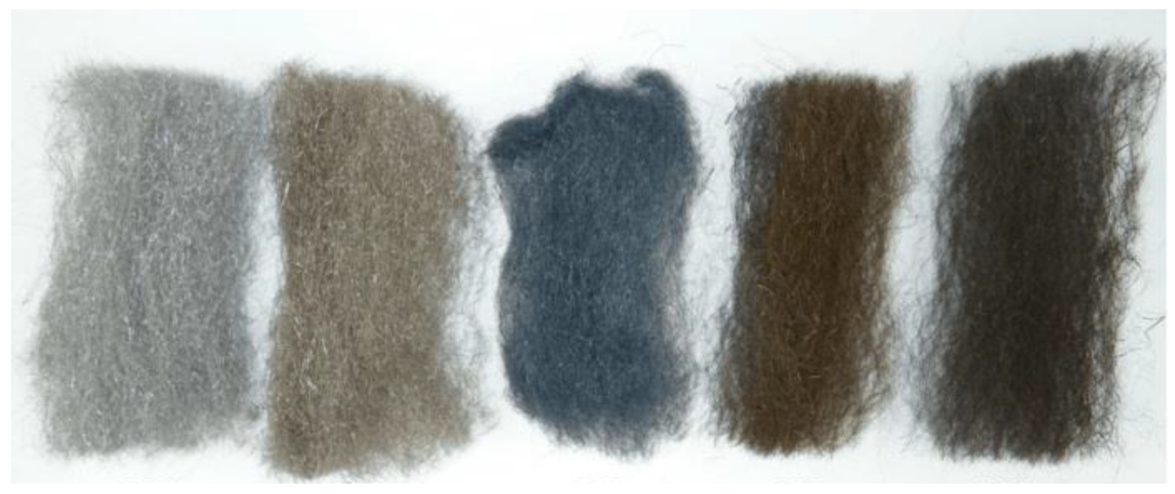 Molecules 26 01260 g002 Molecules 26 01260 g002