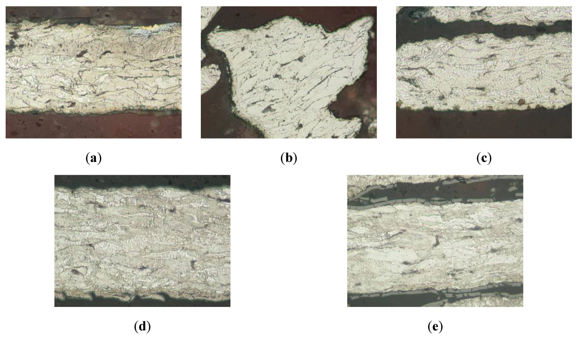 Molecules 26 01260 g003 Molecules 26 01260 g003