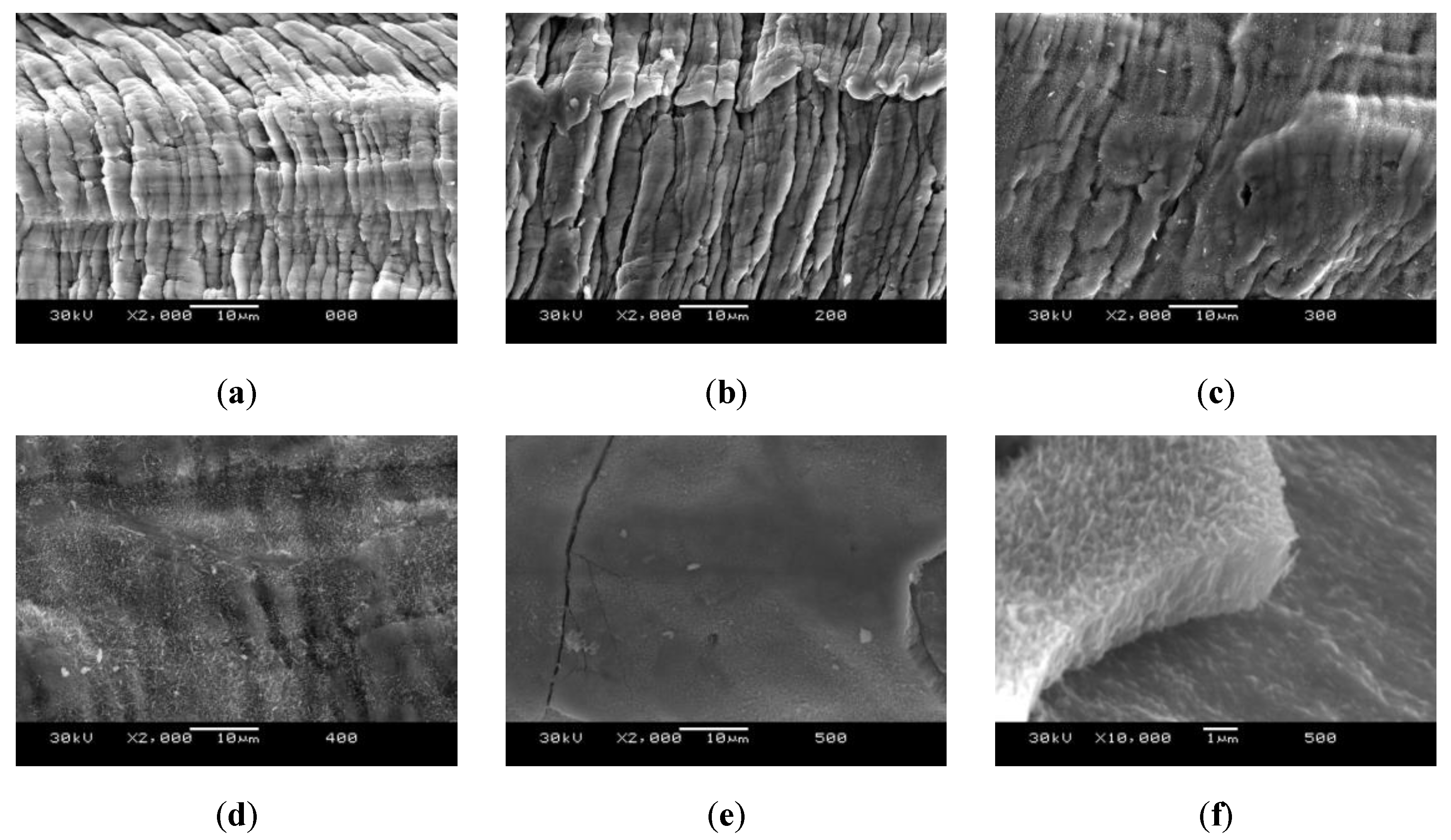 Molecules 26 01260 g004 Molecules 26 01260 g004