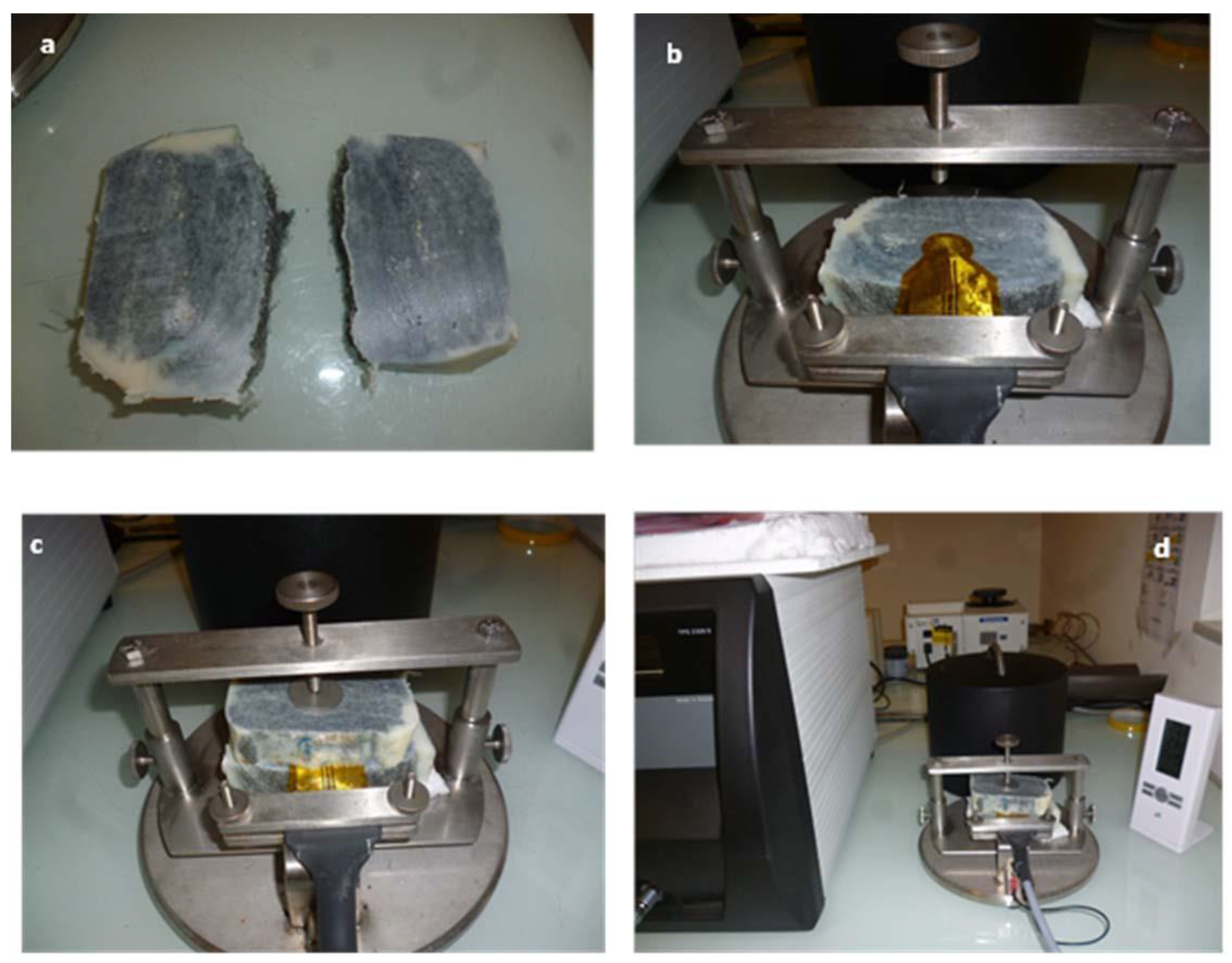 Molecules 26 01260 g008 Molecules 26 01260 g008