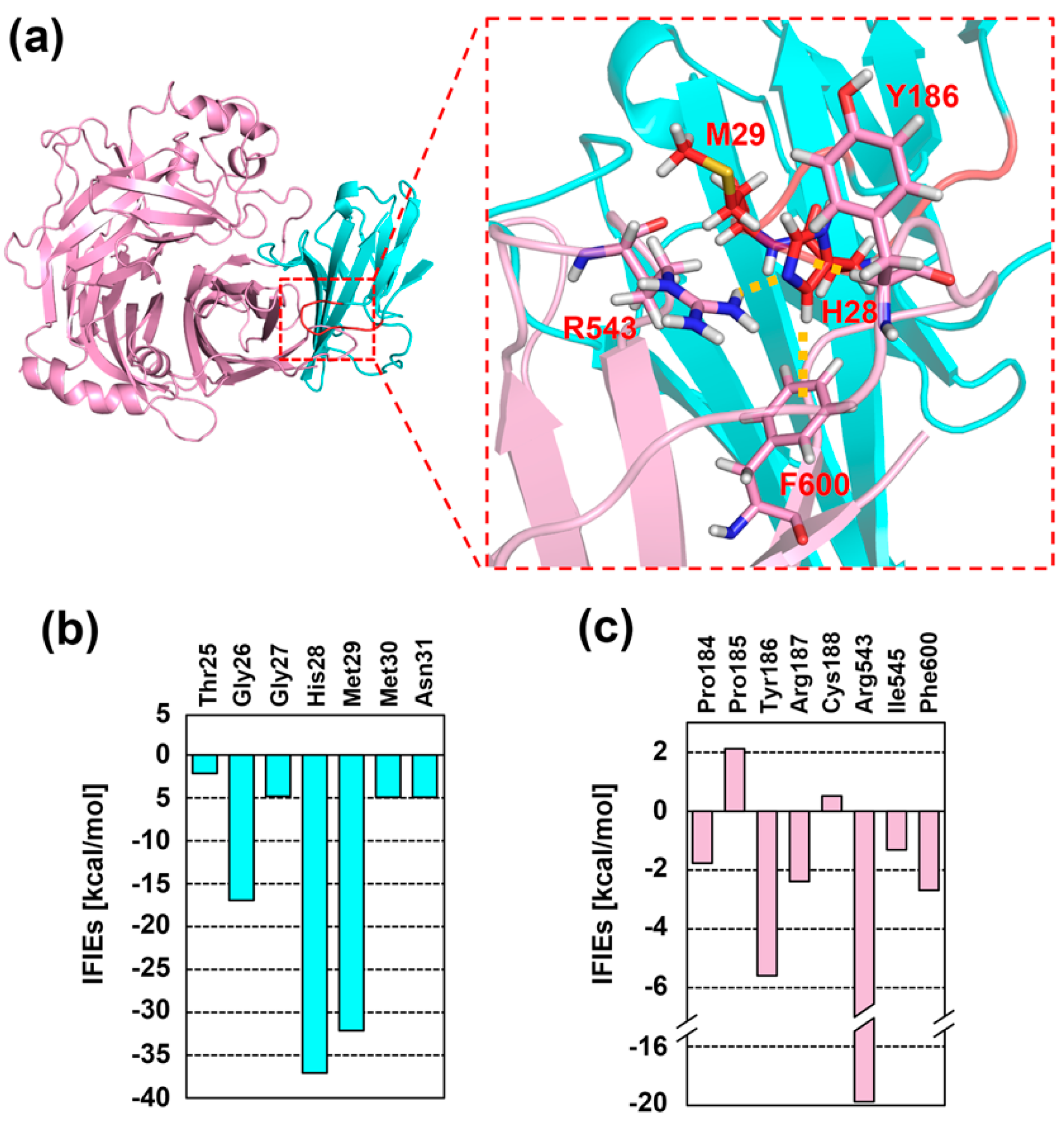 Molecules 26 01262 g002 Molecules 26 01262 g002