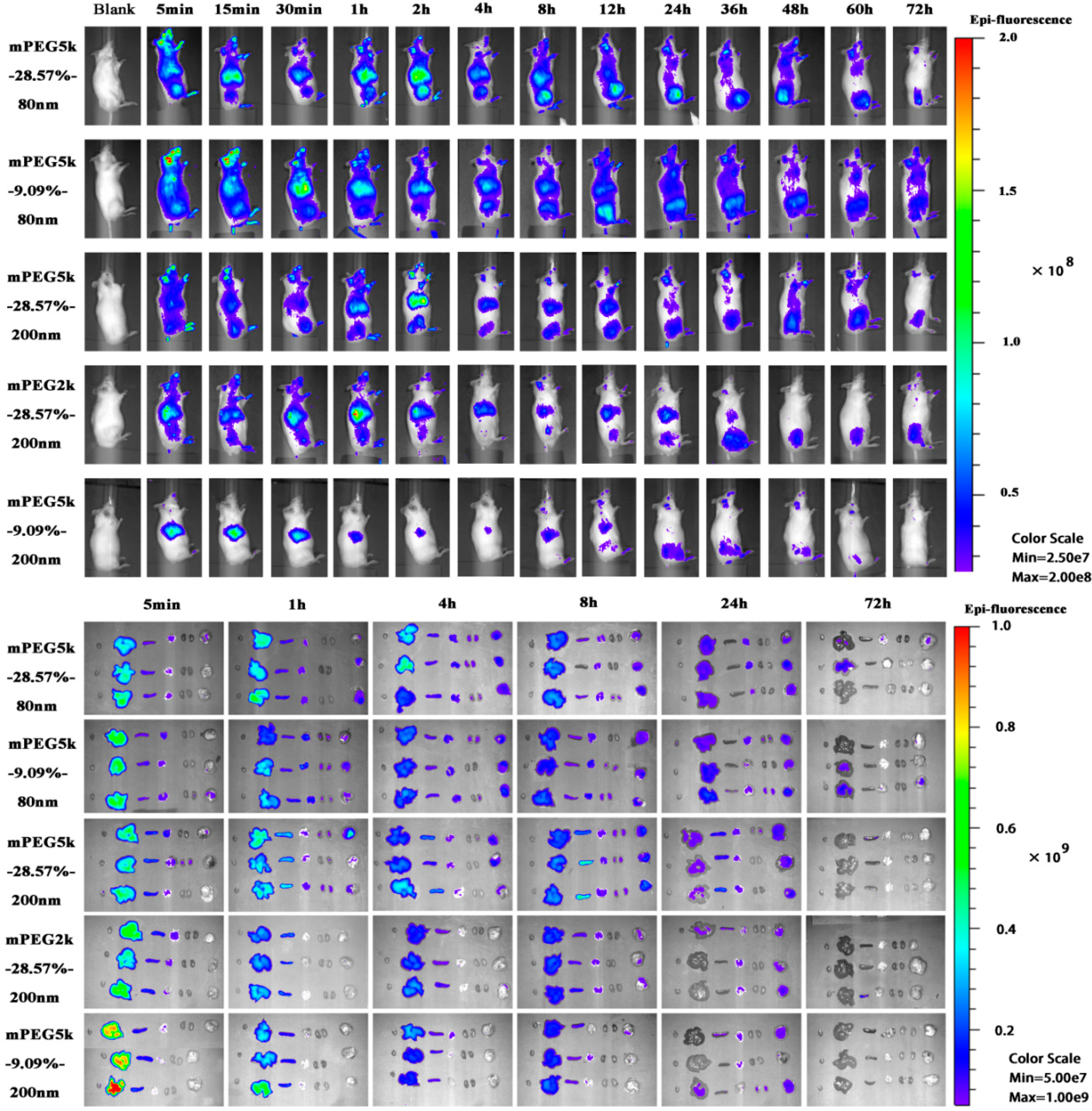 Molecules 26 01271 g001