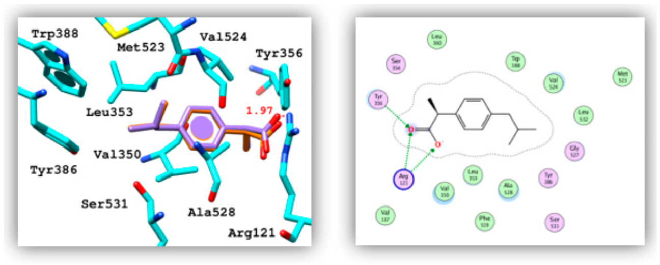 Molecules 26 01272 g004