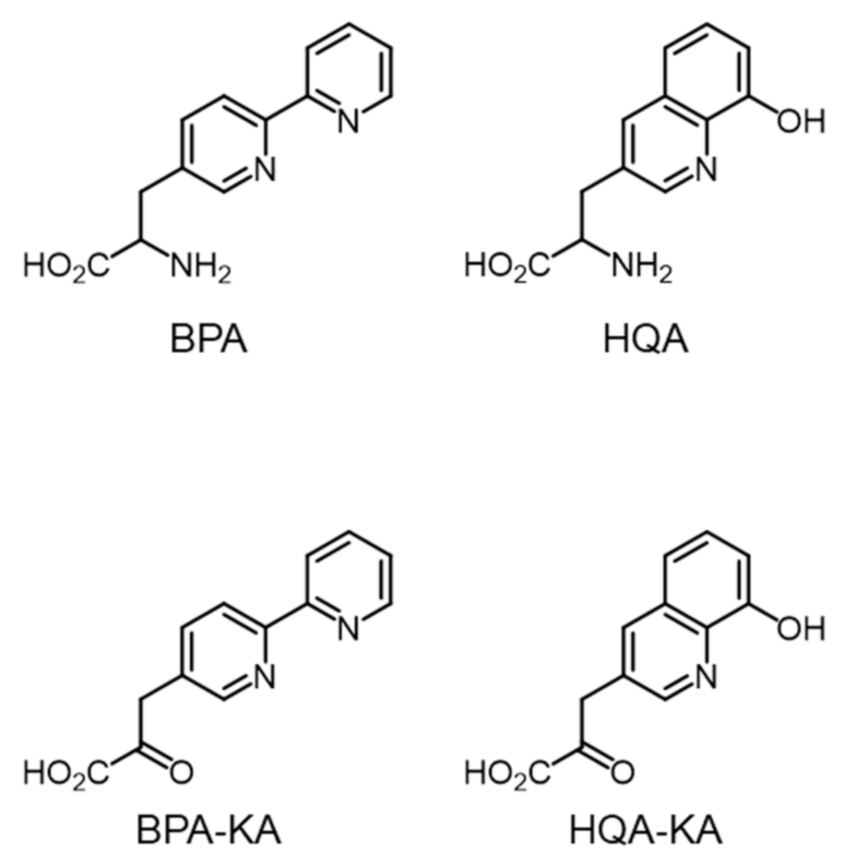 Molecules 26 01274 g001 Molecules 26 01274 g001