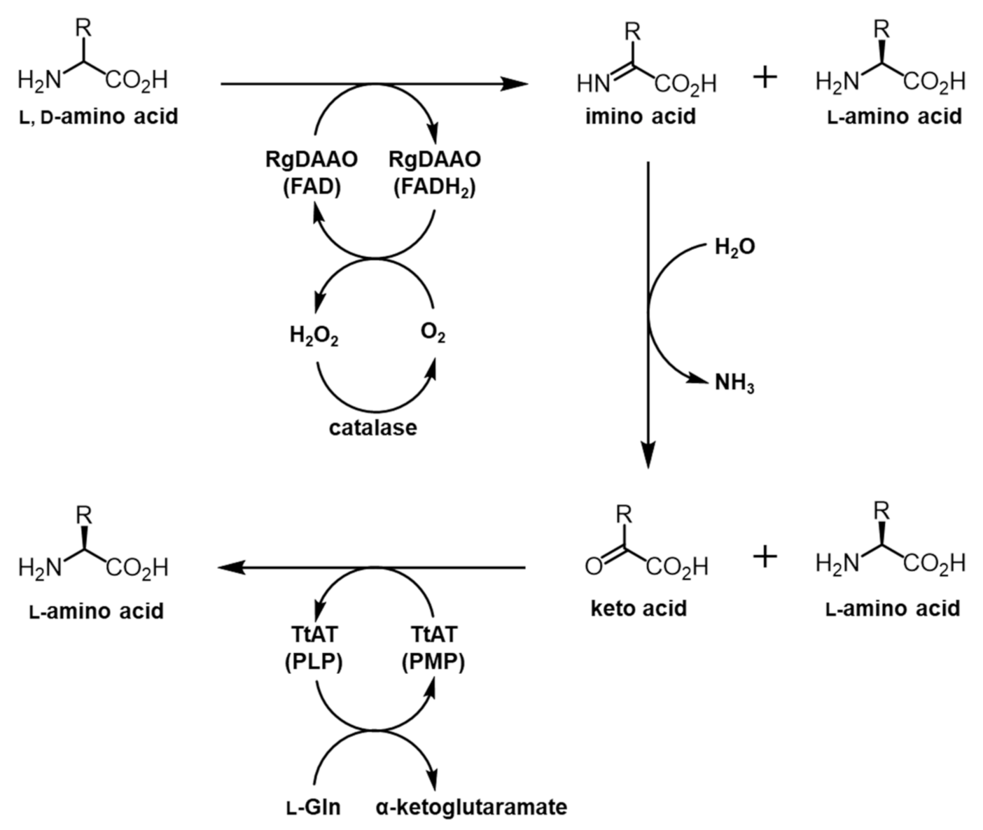 Molecules 26 01274 g002 Molecules 26 01274 g002