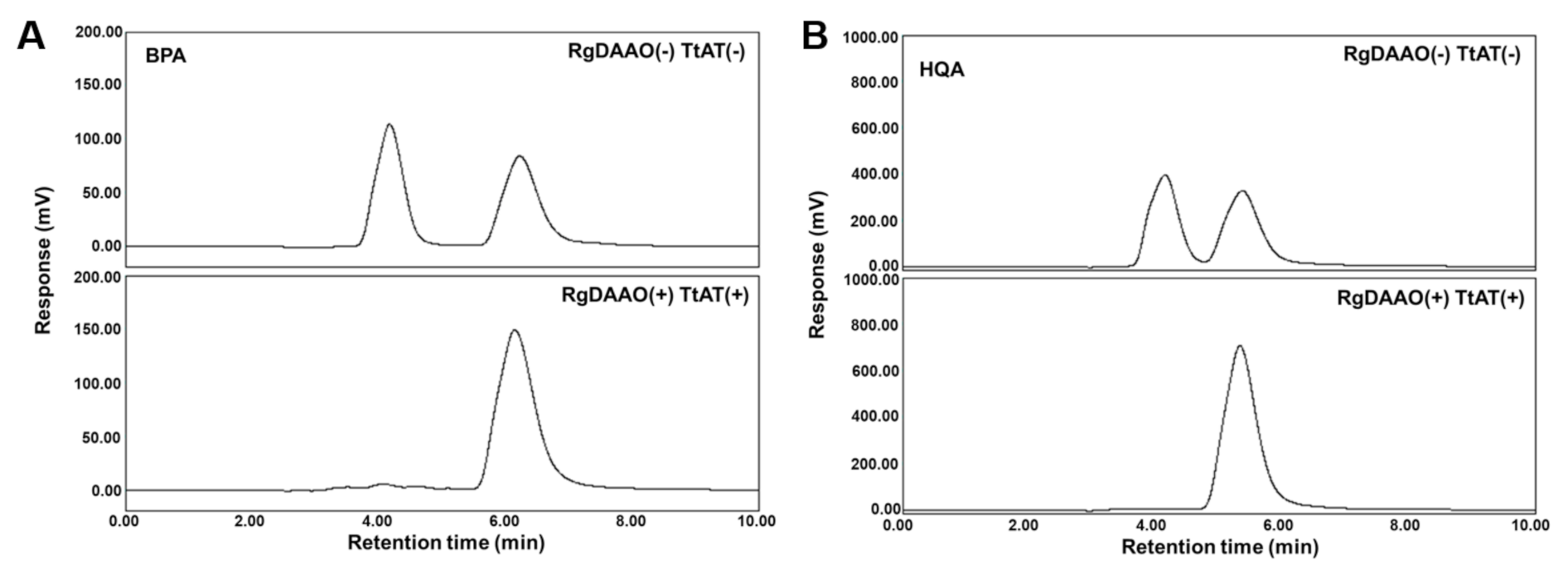 Molecules 26 01274 g004 Molecules 26 01274 g004