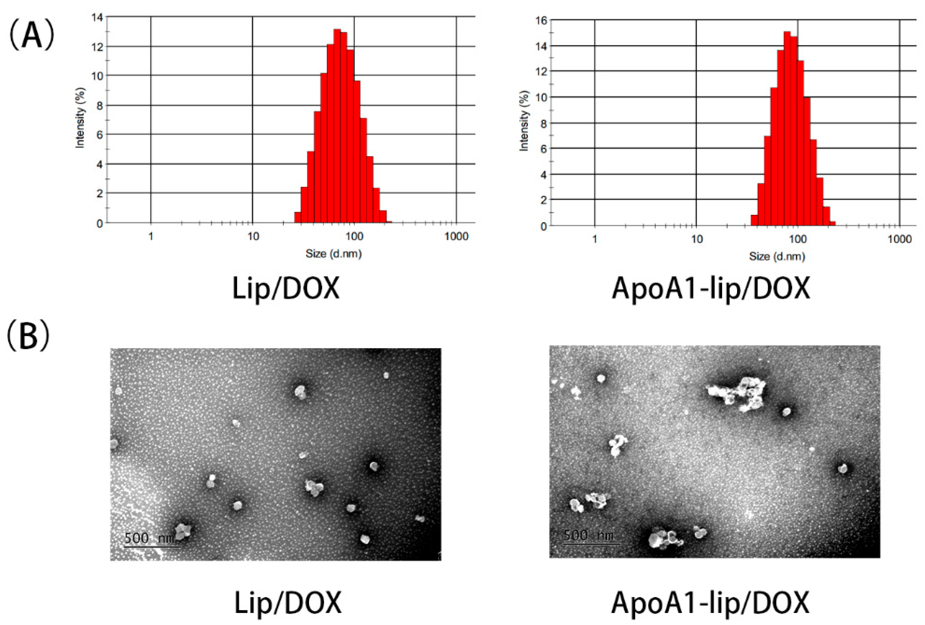 Molecules 26 01280 g001 Molecules 26 01280 g001