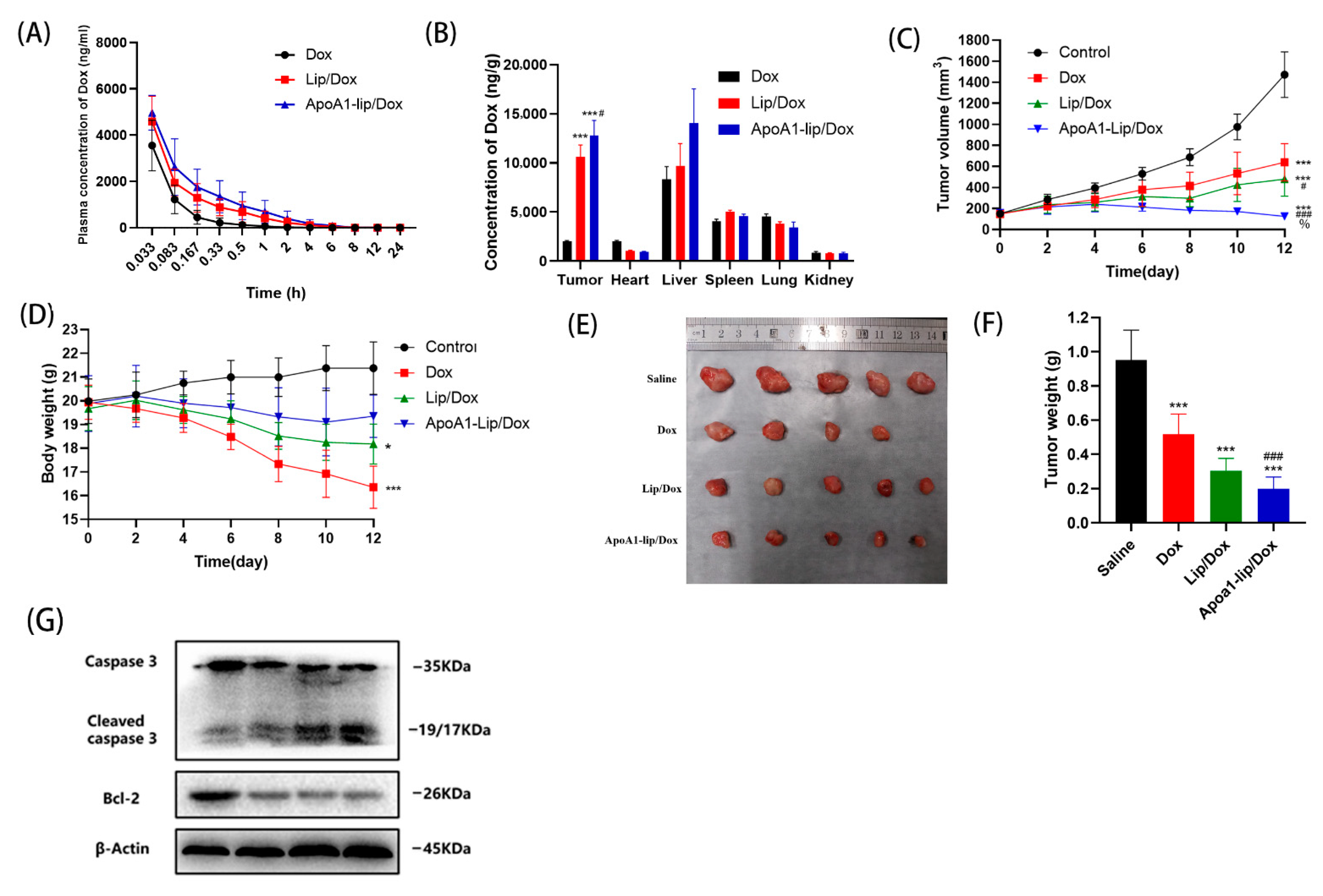 Molecules 26 01280 g005 Molecules 26 01280 g005