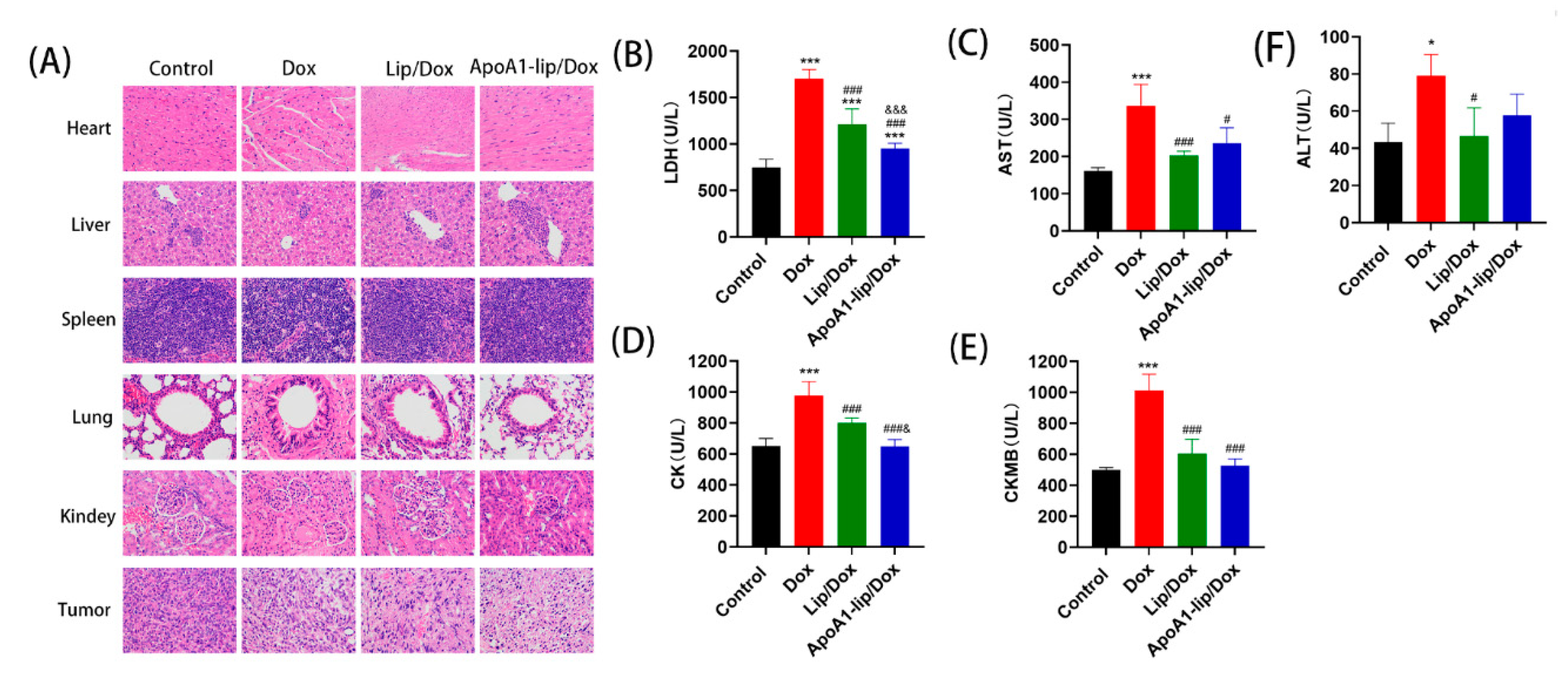 Molecules 26 01280 g006 Molecules 26 01280 g006