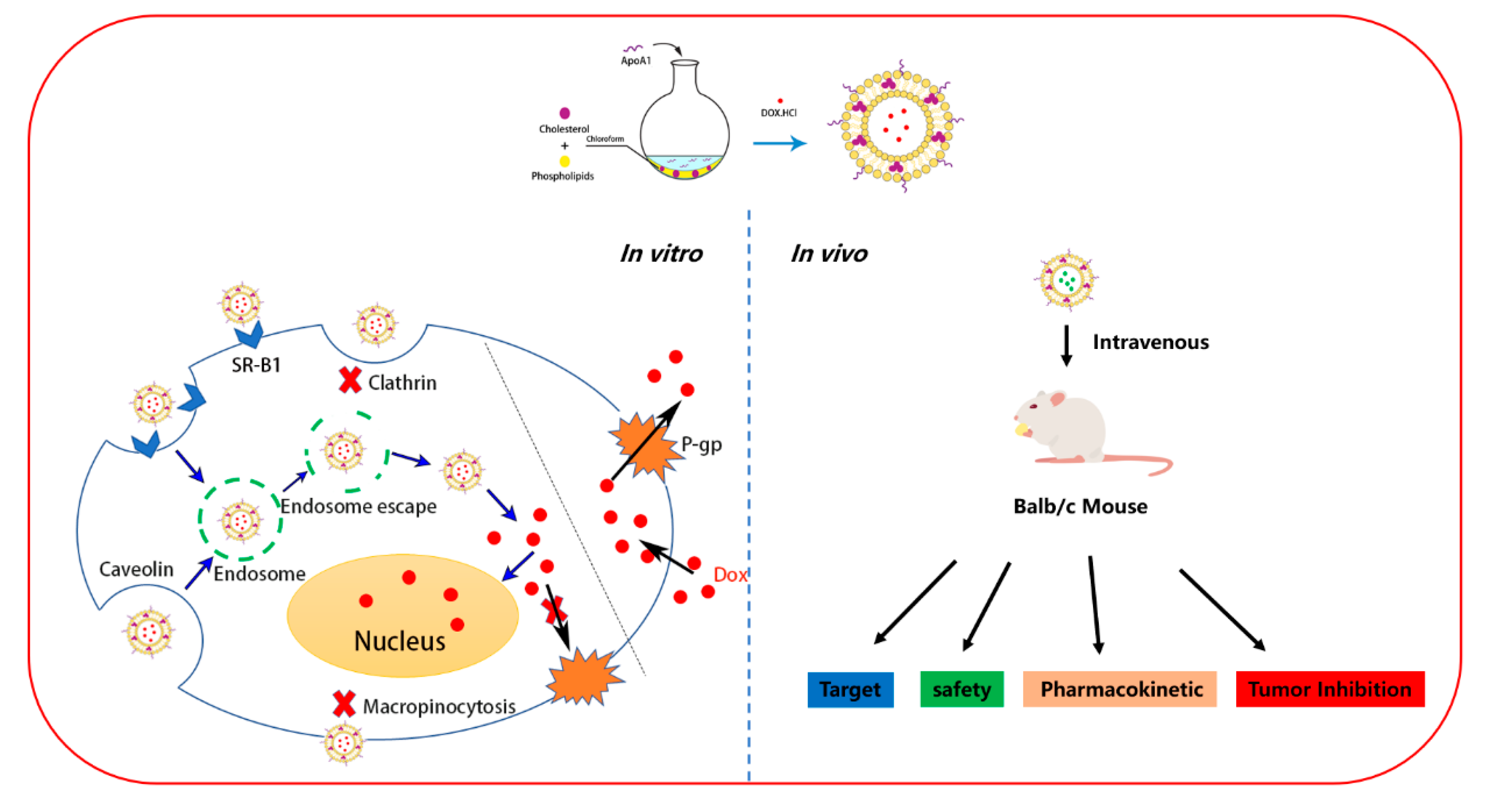 Molecules 26 01280 g007 Molecules 26 01280 g007