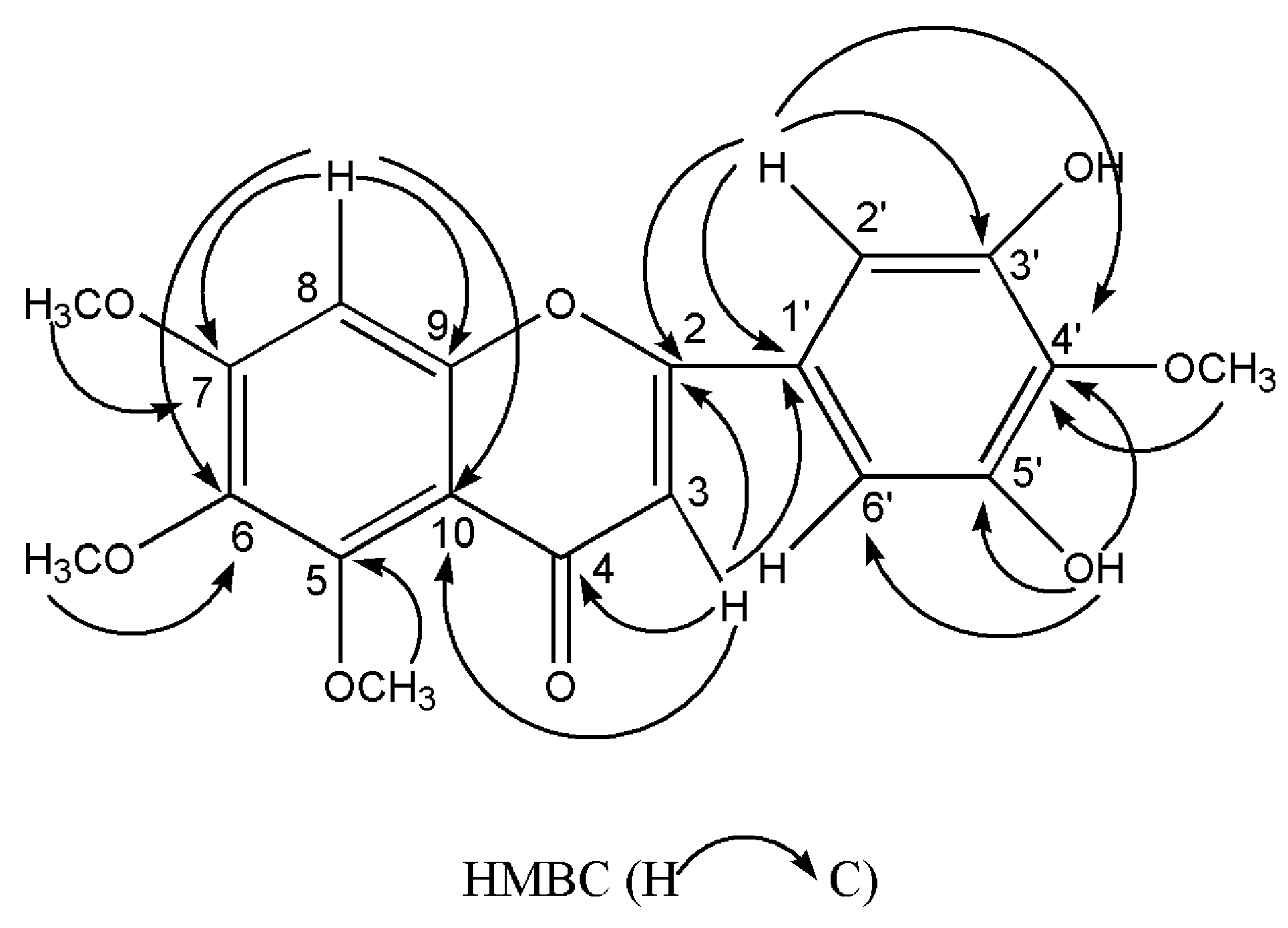 Molecules 26 01284 g002