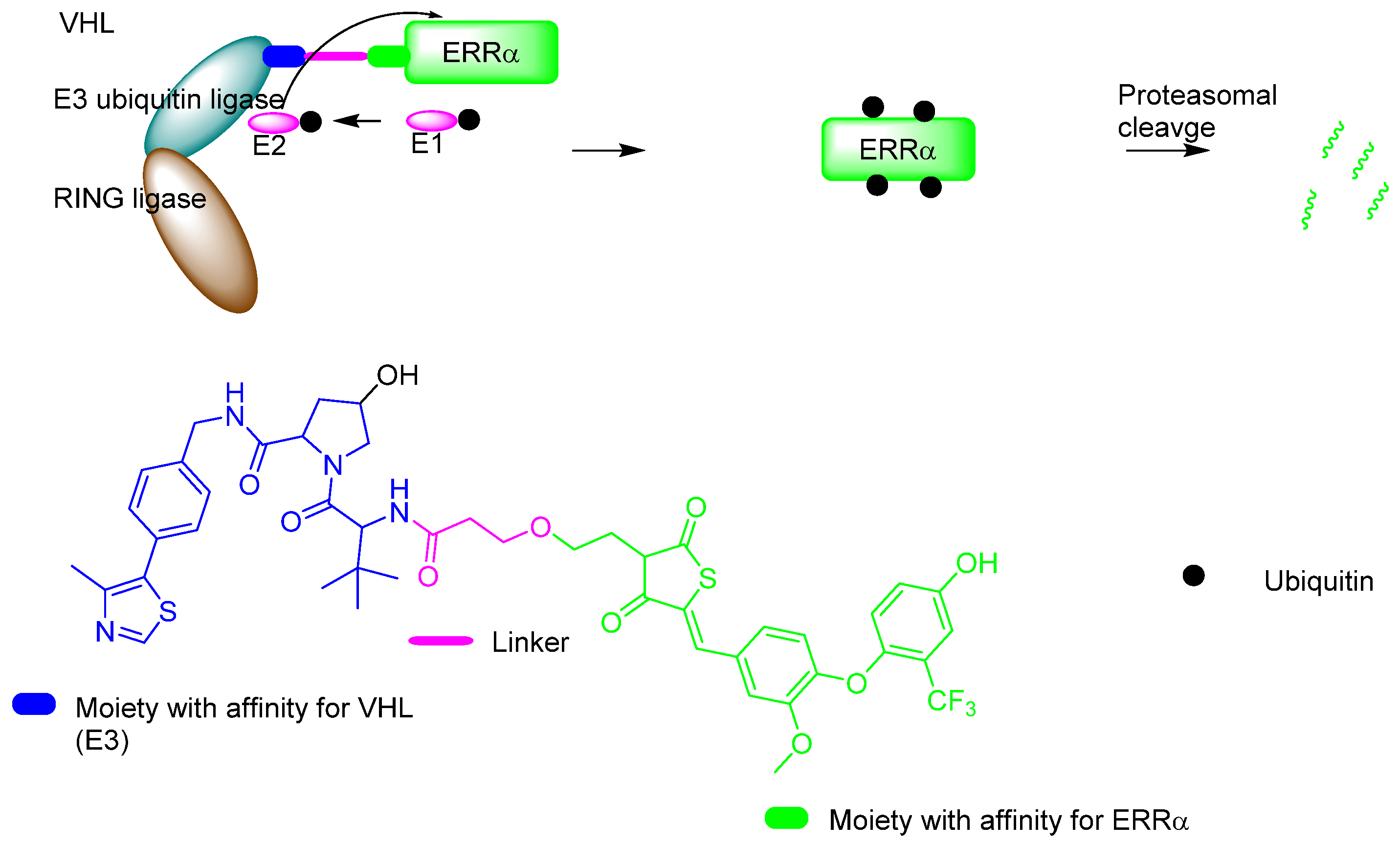 Molecules 26 01292 g007 Molecules 26 01292 g007