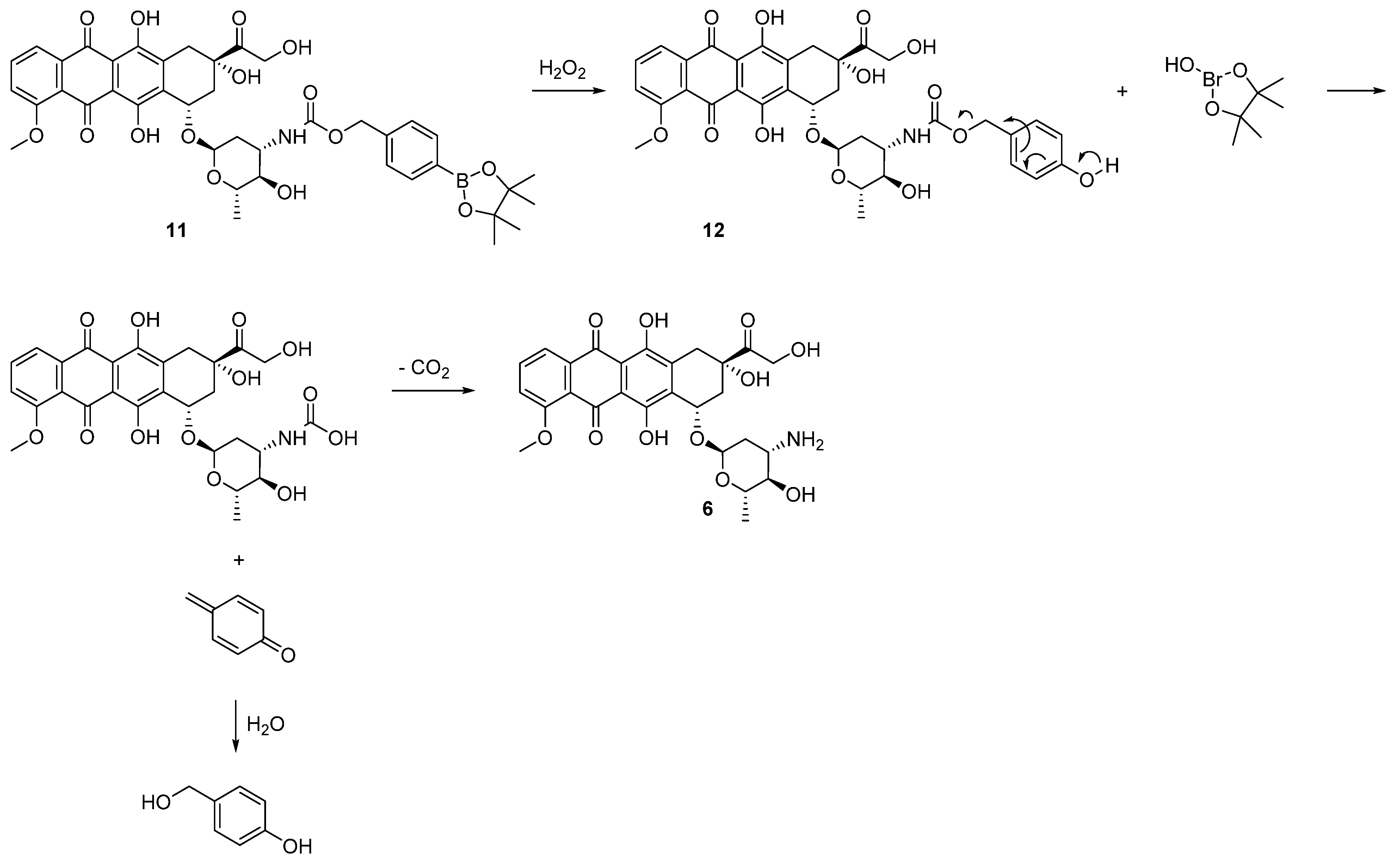 Molecules 26 01292 sch005 Molecules 26 01292 sch005