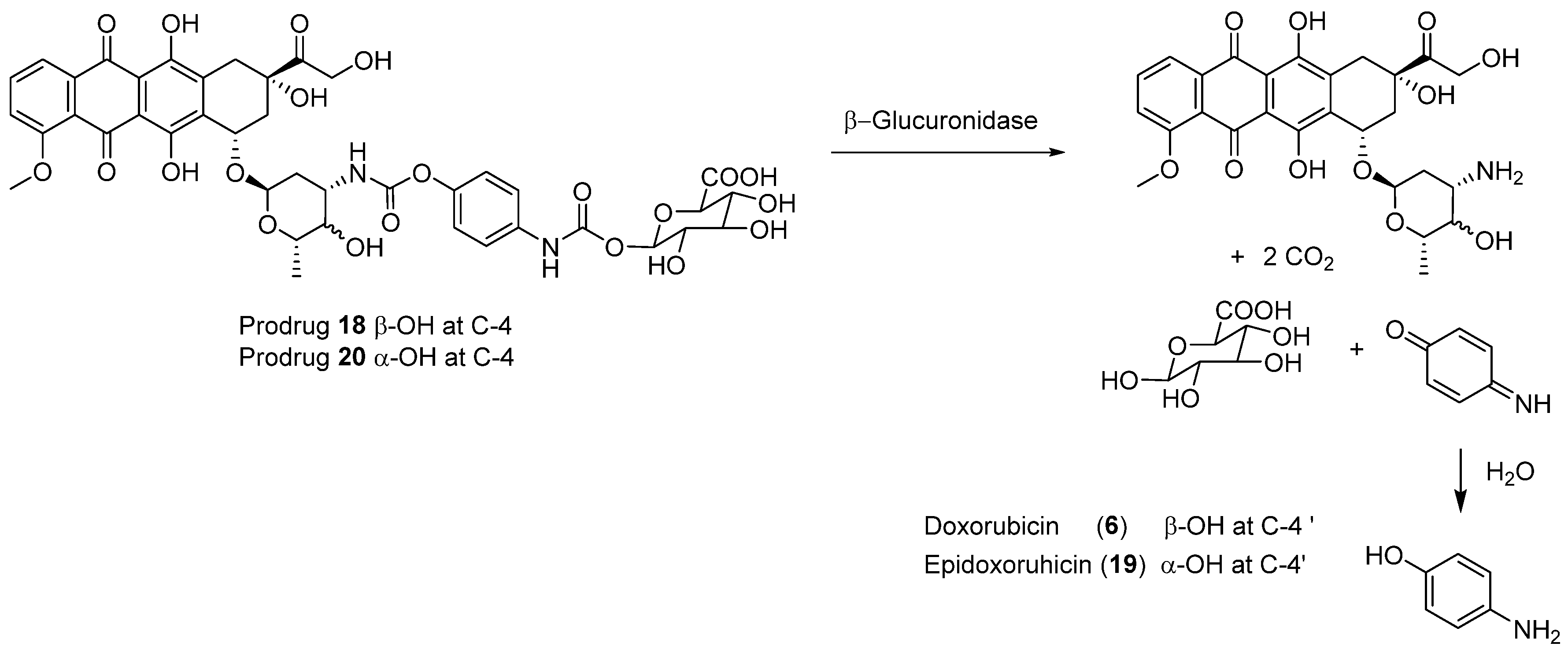 Molecules 26 01292 sch010 Molecules 26 01292 sch010