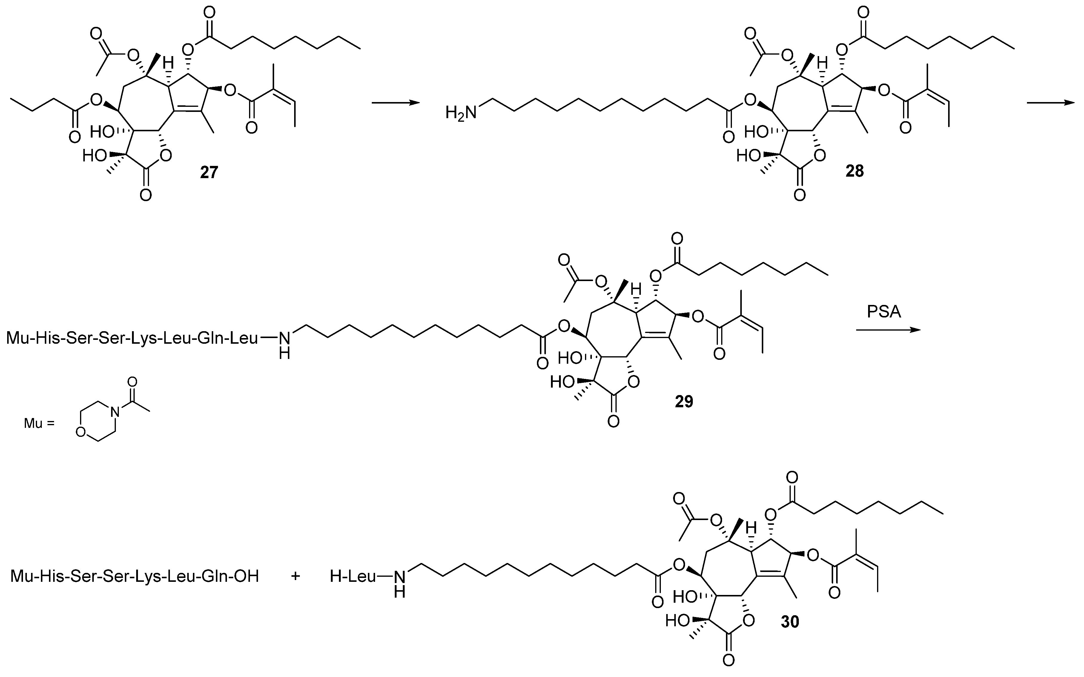Molecules 26 01292 sch015 Molecules 26 01292 sch015