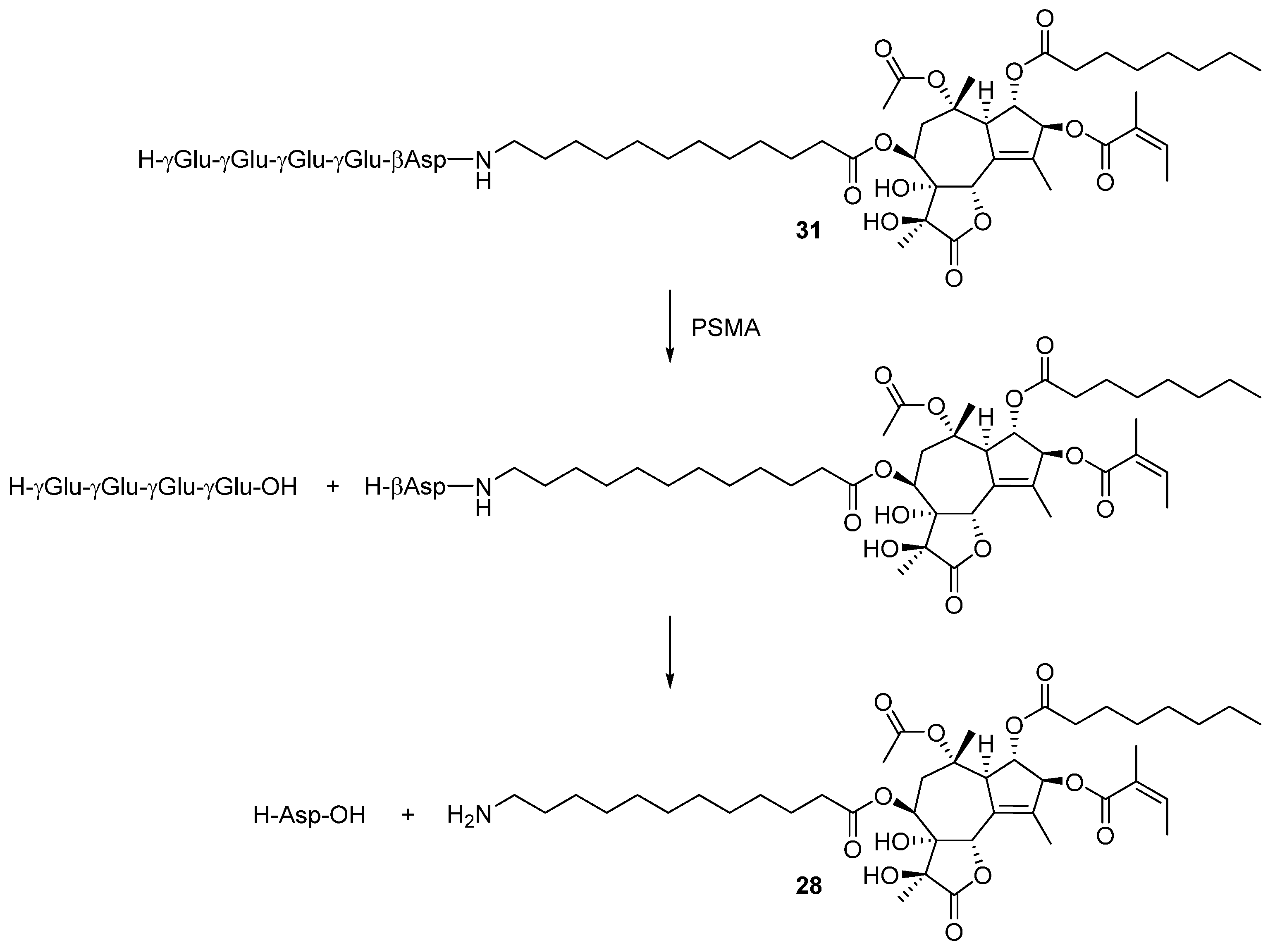 Molecules 26 01292 sch016