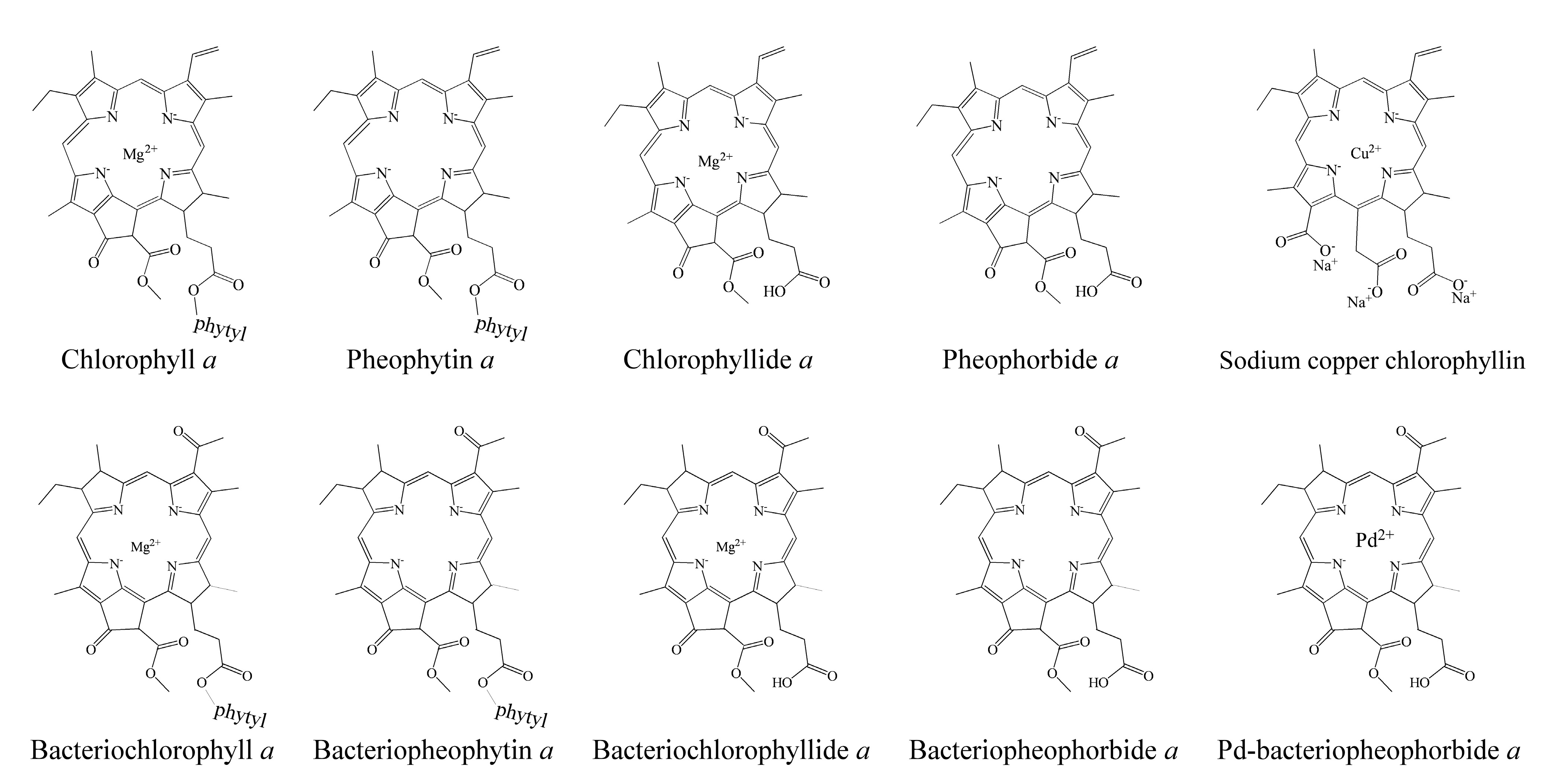 Molecules 26 01293 g001 Molecules 26 01293 g001