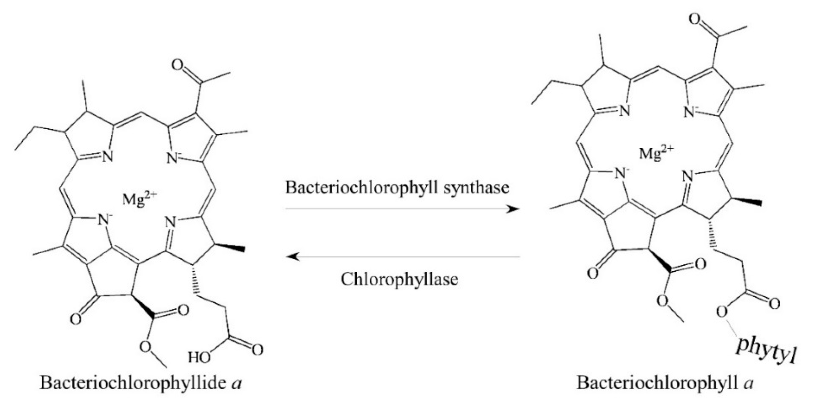 Molecules 26 01293 g002 Molecules 26 01293 g002