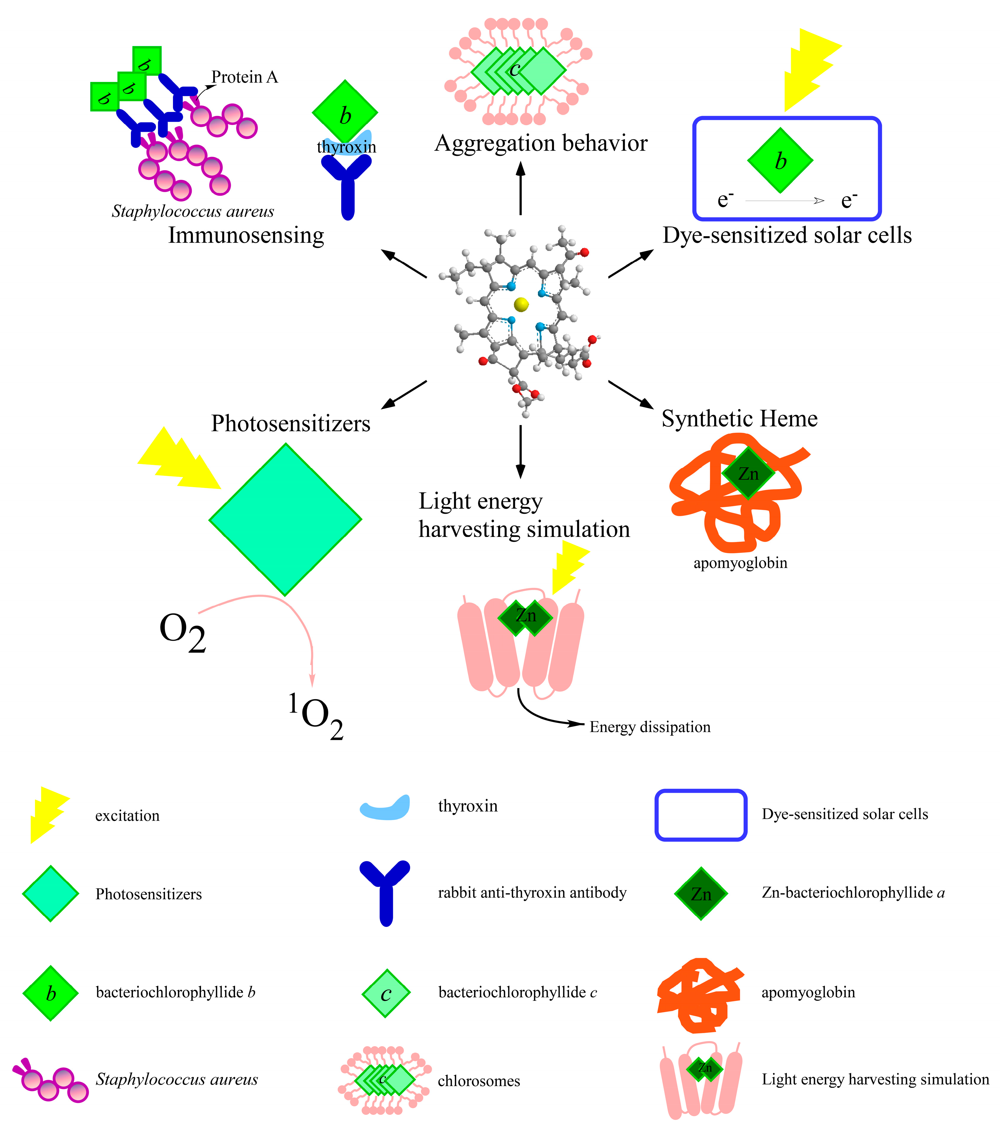 Molecules 26 01293 g004 Molecules 26 01293 g004