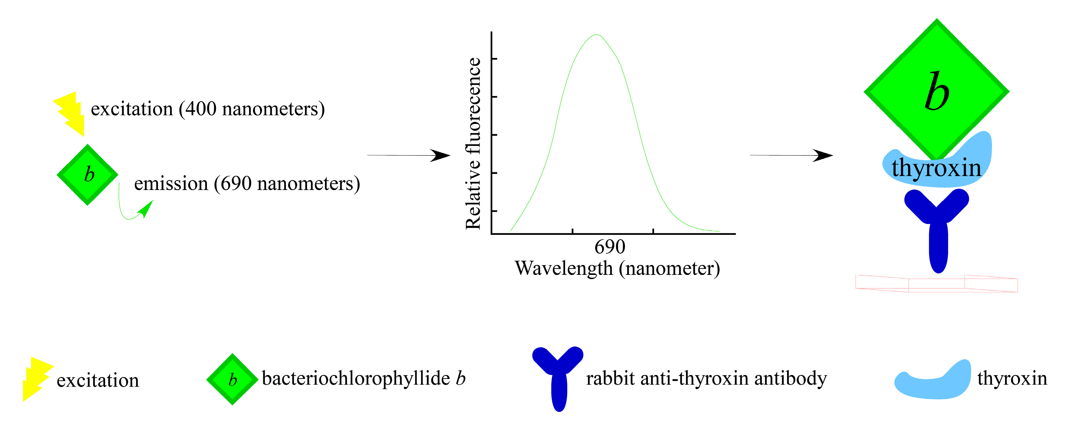 Molecules 26 01293 g005 Molecules 26 01293 g005