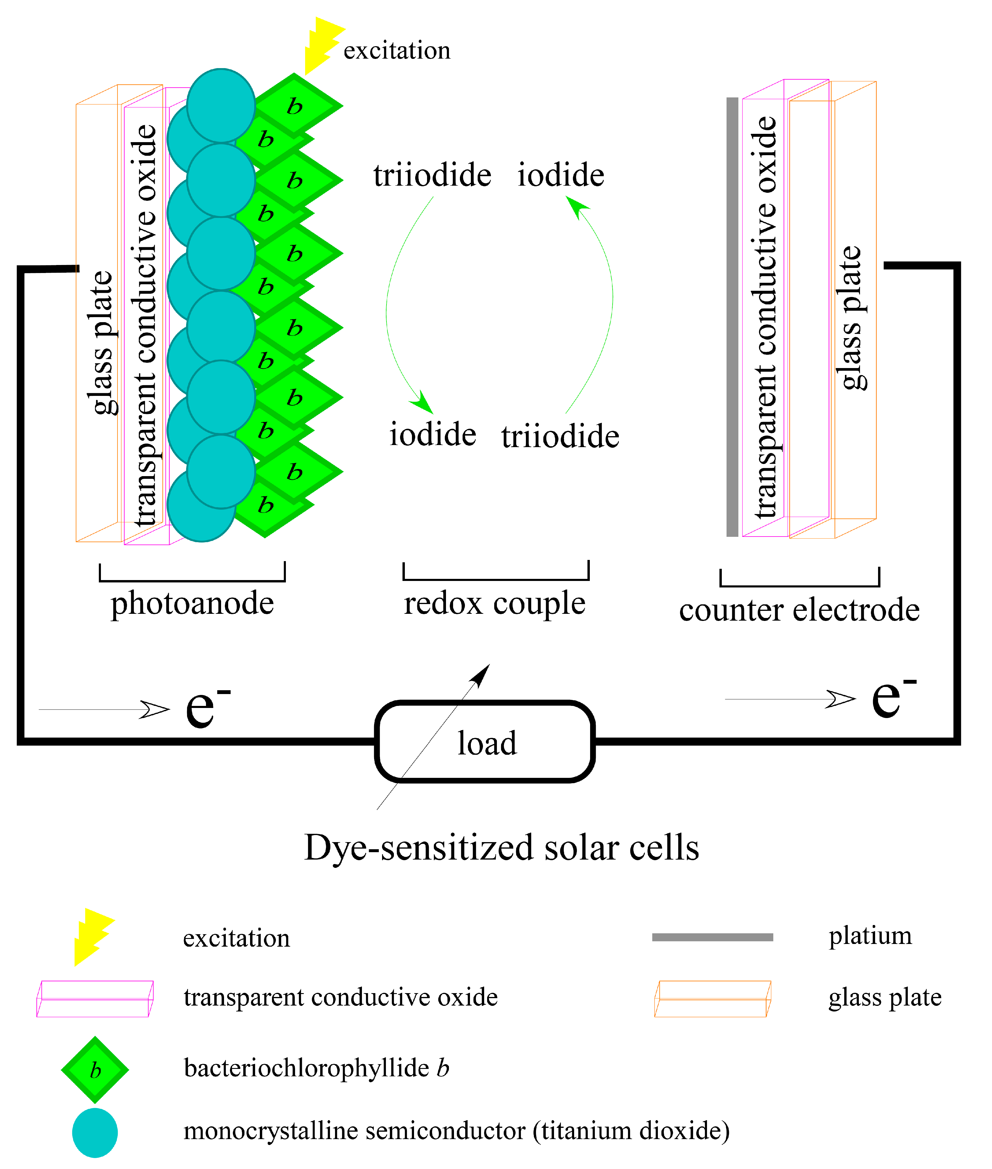 Molecules 26 01293 g006 Molecules 26 01293 g006