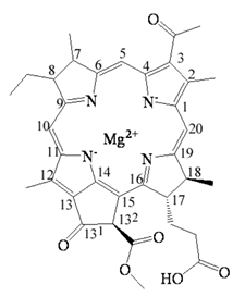 Molecules 26 01293 i001 Molecules 26 01293 i001