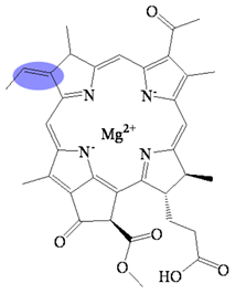 Molecules 26 01293 i002 Molecules 26 01293 i002