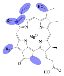 Molecules 26 01293 i006 Molecules 26 01293 i006