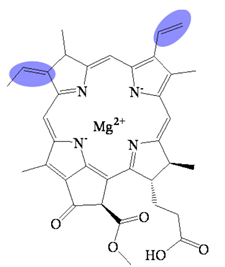 Molecules 26 01293 i007 Molecules 26 01293 i007