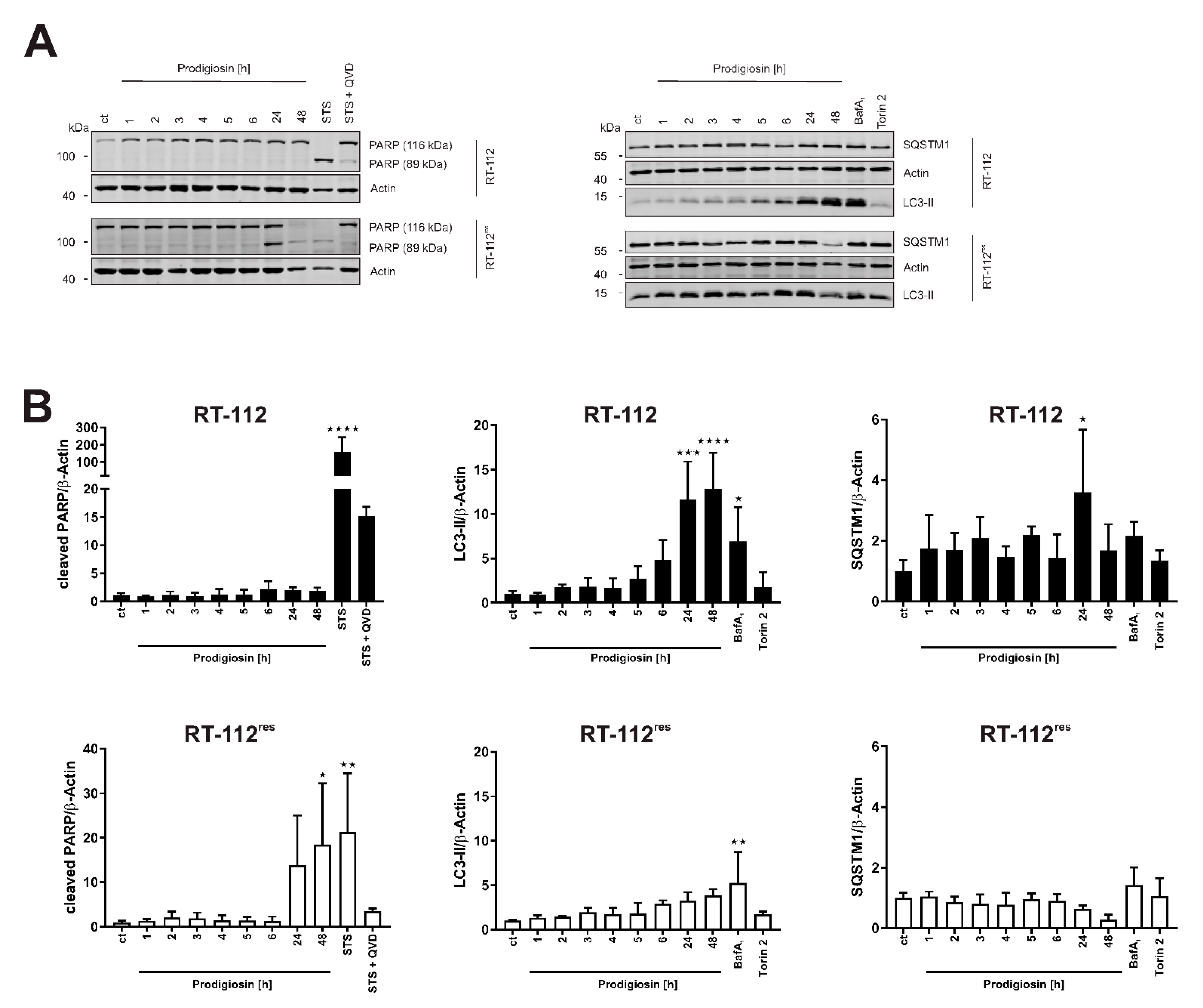 Molecules 26 01294 g004 Molecules 26 01294 g004