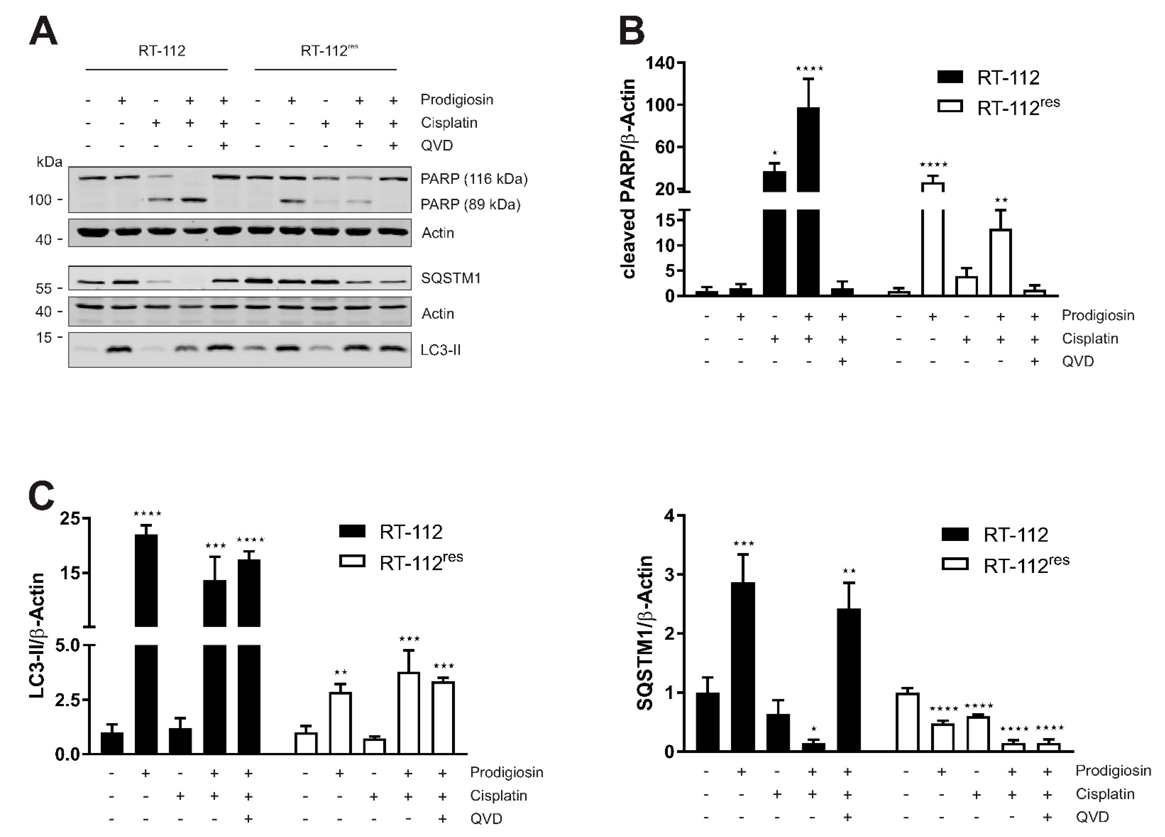 Molecules 26 01294 g006 Molecules 26 01294 g006