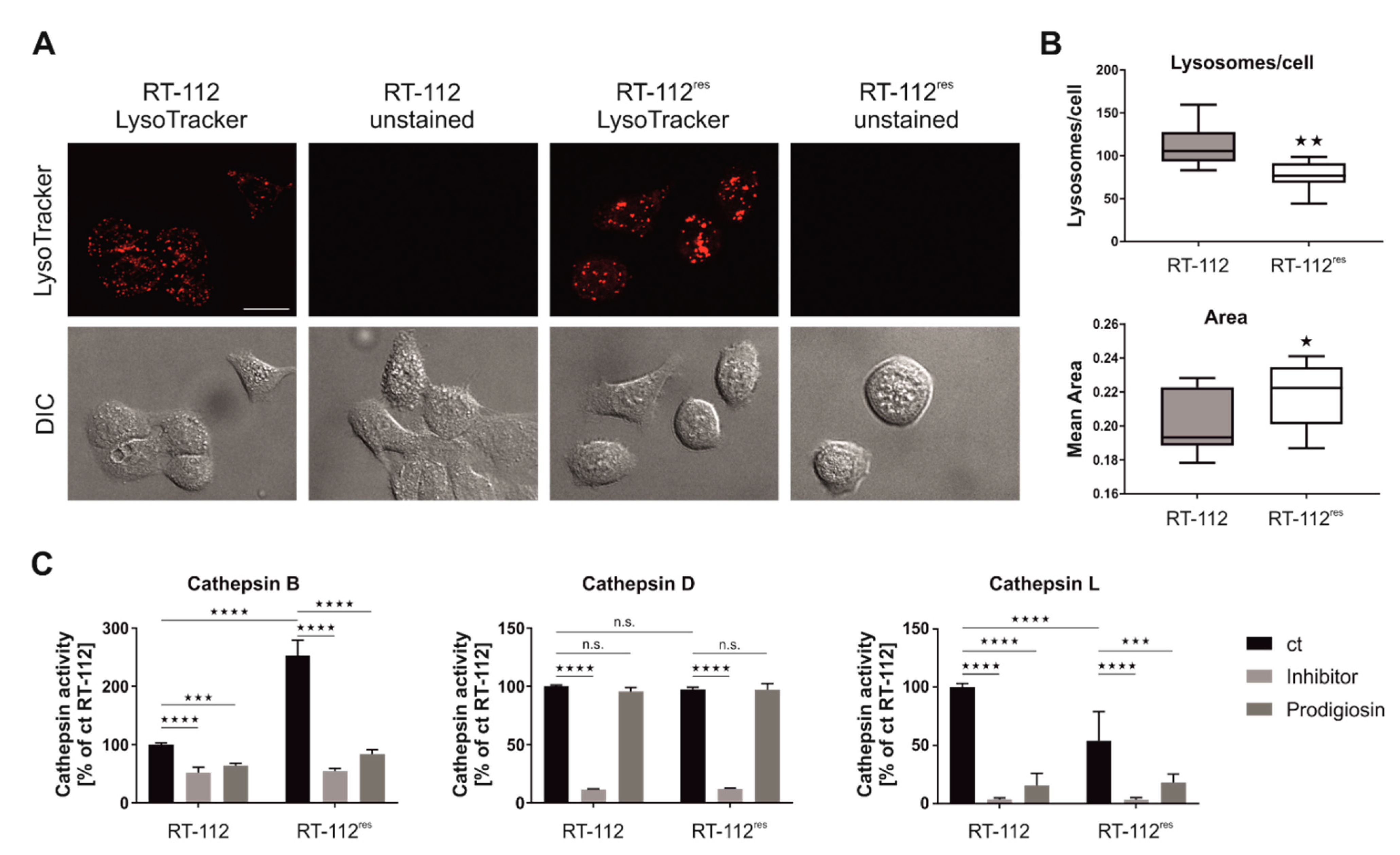 Molecules 26 01294 g007 Molecules 26 01294 g007