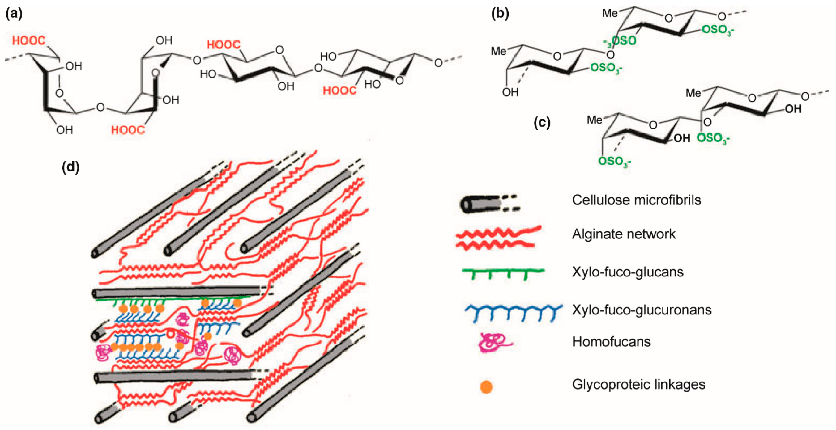 Molecules 26 01306 g001 Molecules 26 01306 g001