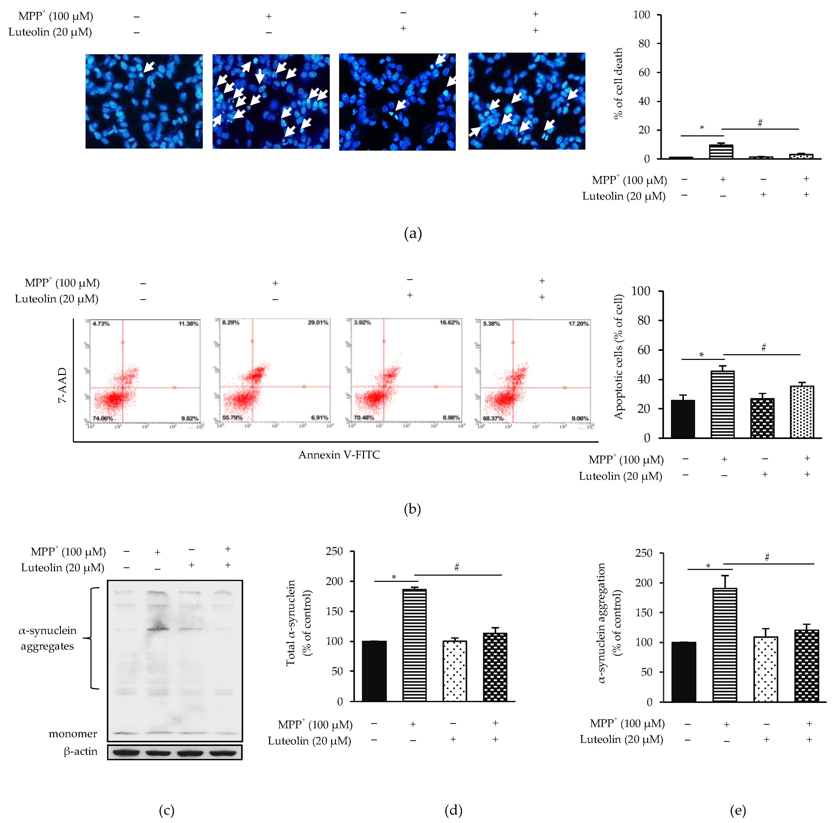 Molecules 26 01307 g002a Molecules 26 01307 g002a