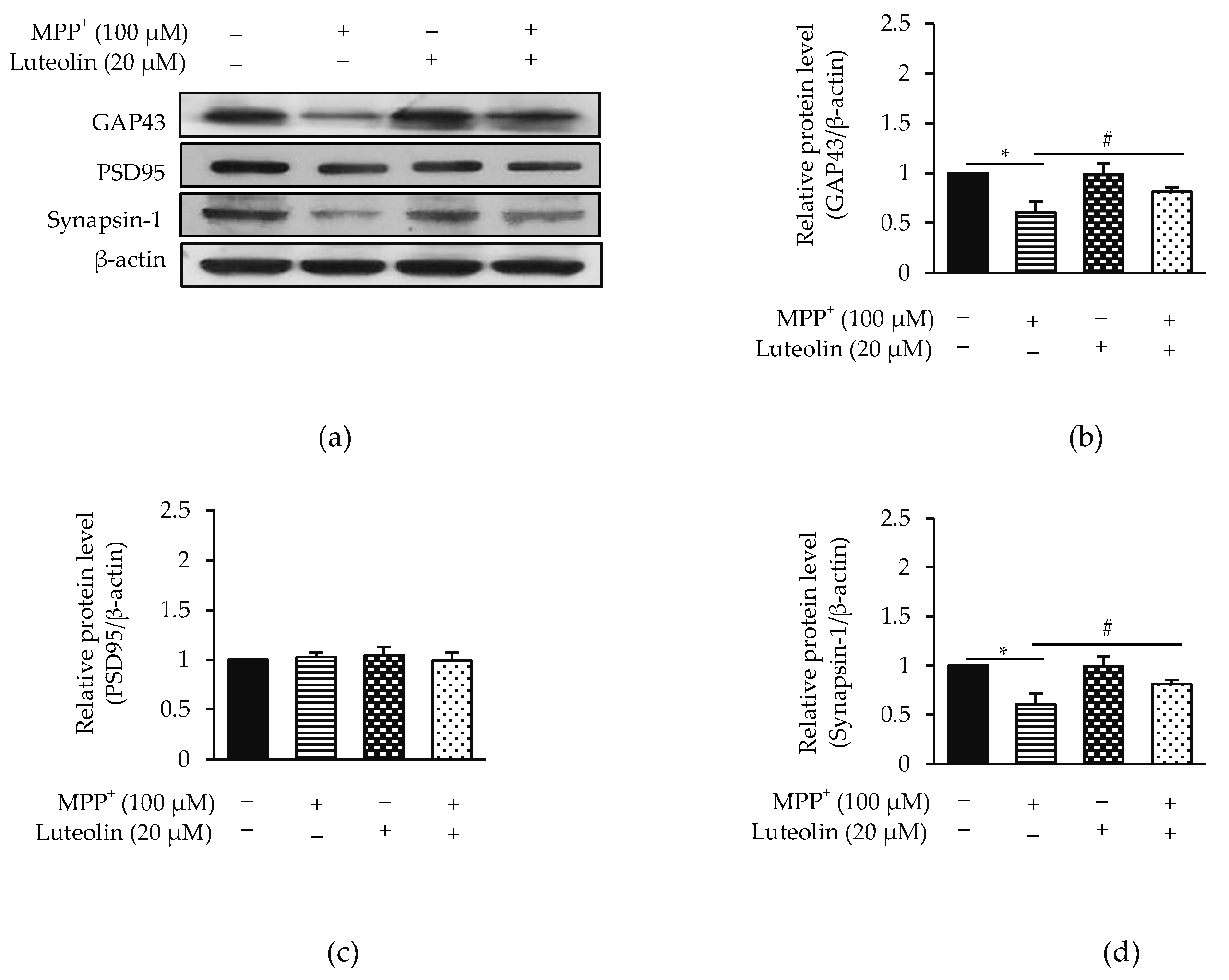 Molecules 26 01307 g003 Molecules 26 01307 g003