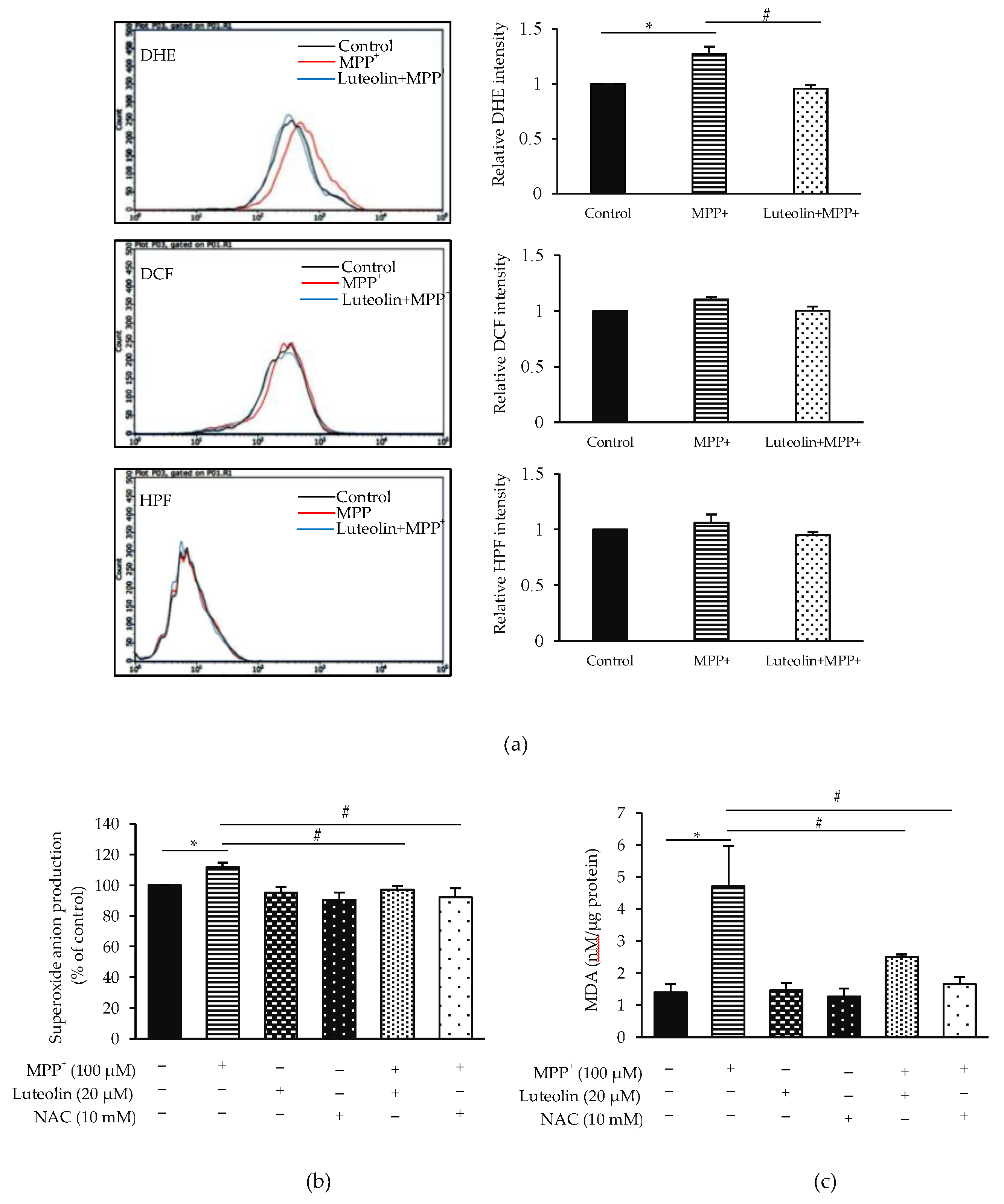 Molecules 26 01307 g004 Molecules 26 01307 g004