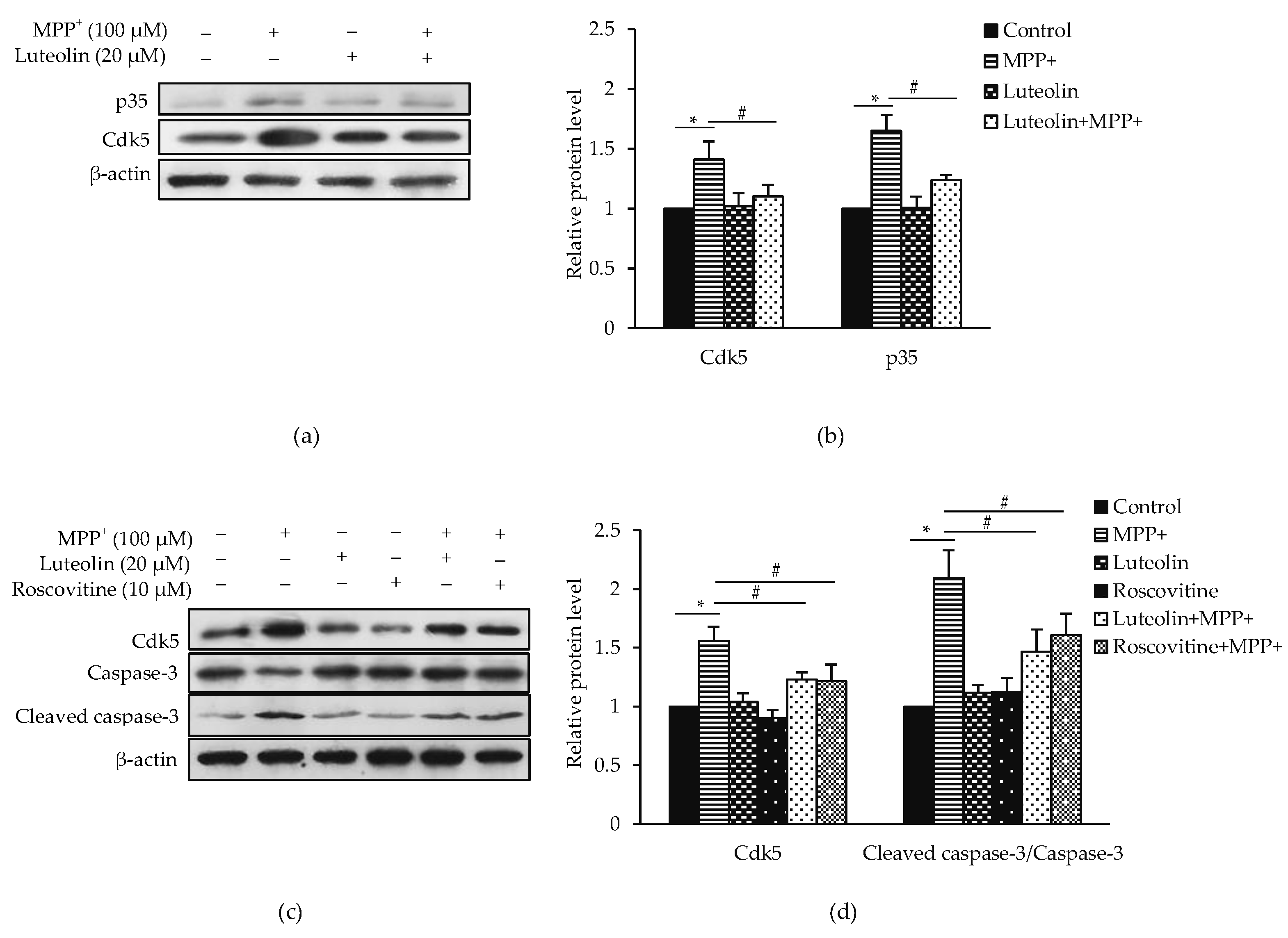 Molecules 26 01307 g006 Molecules 26 01307 g006