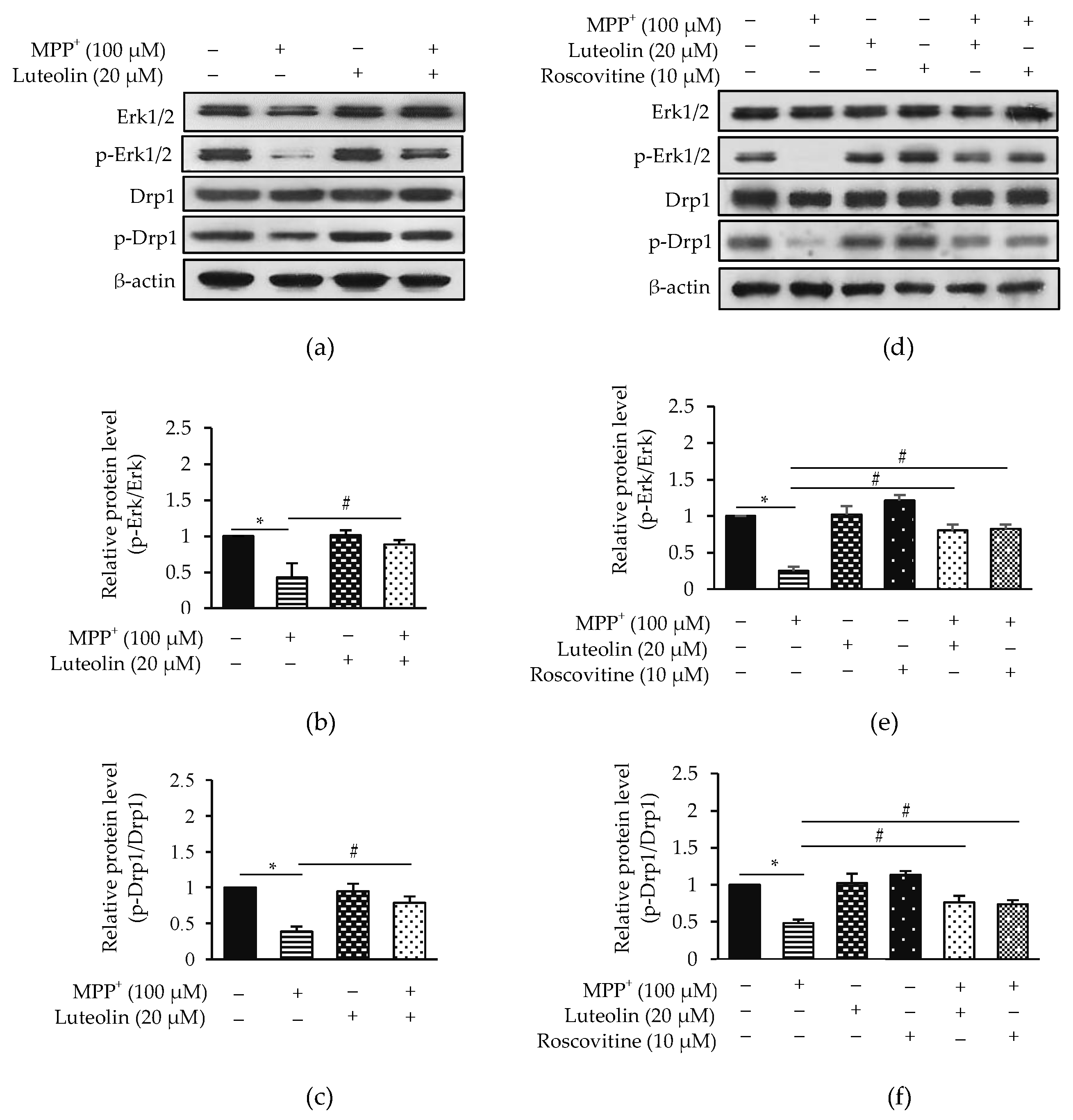 Molecules 26 01307 g007 Molecules 26 01307 g007