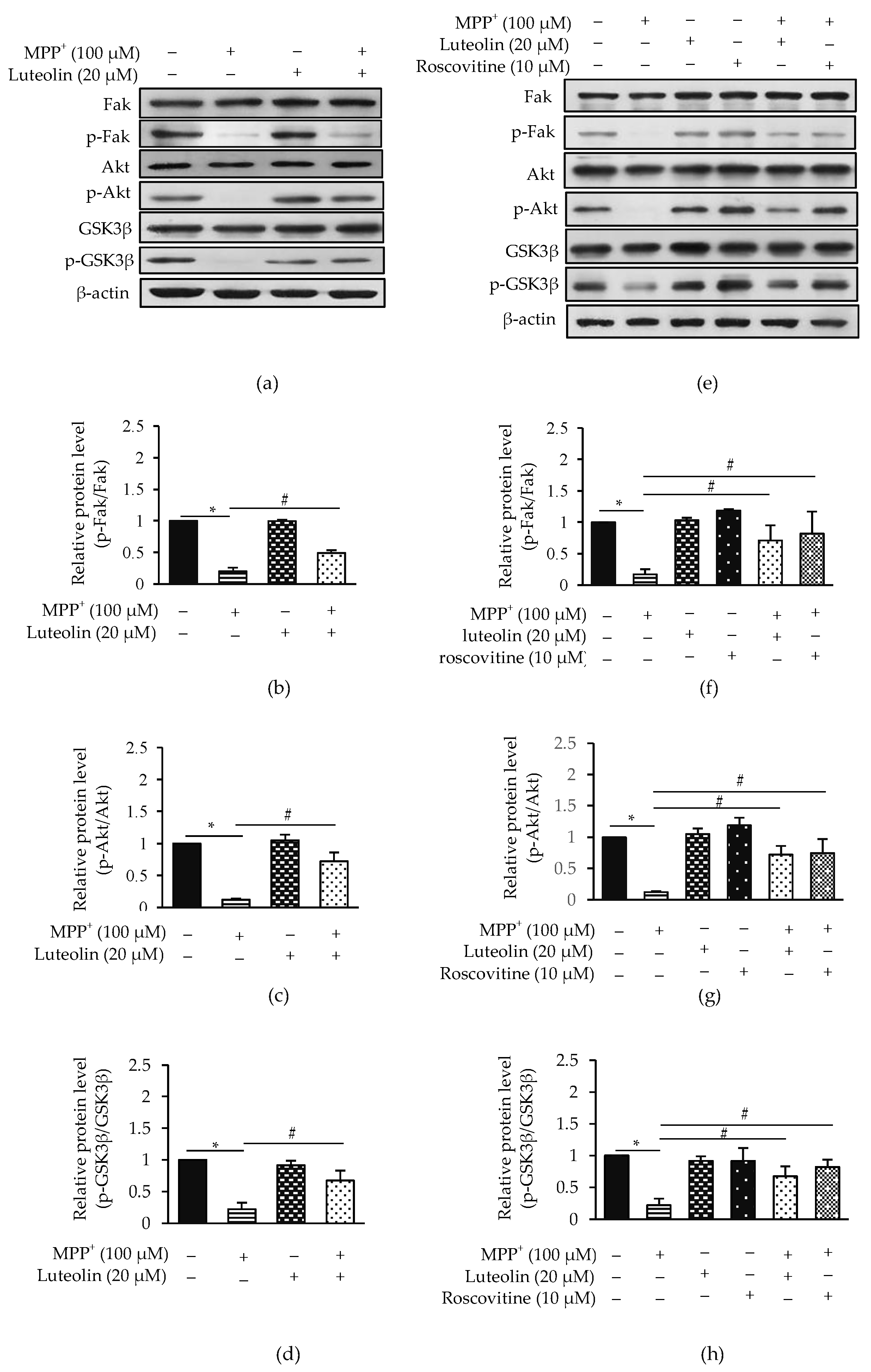 Molecules 26 01307 g008 Molecules 26 01307 g008