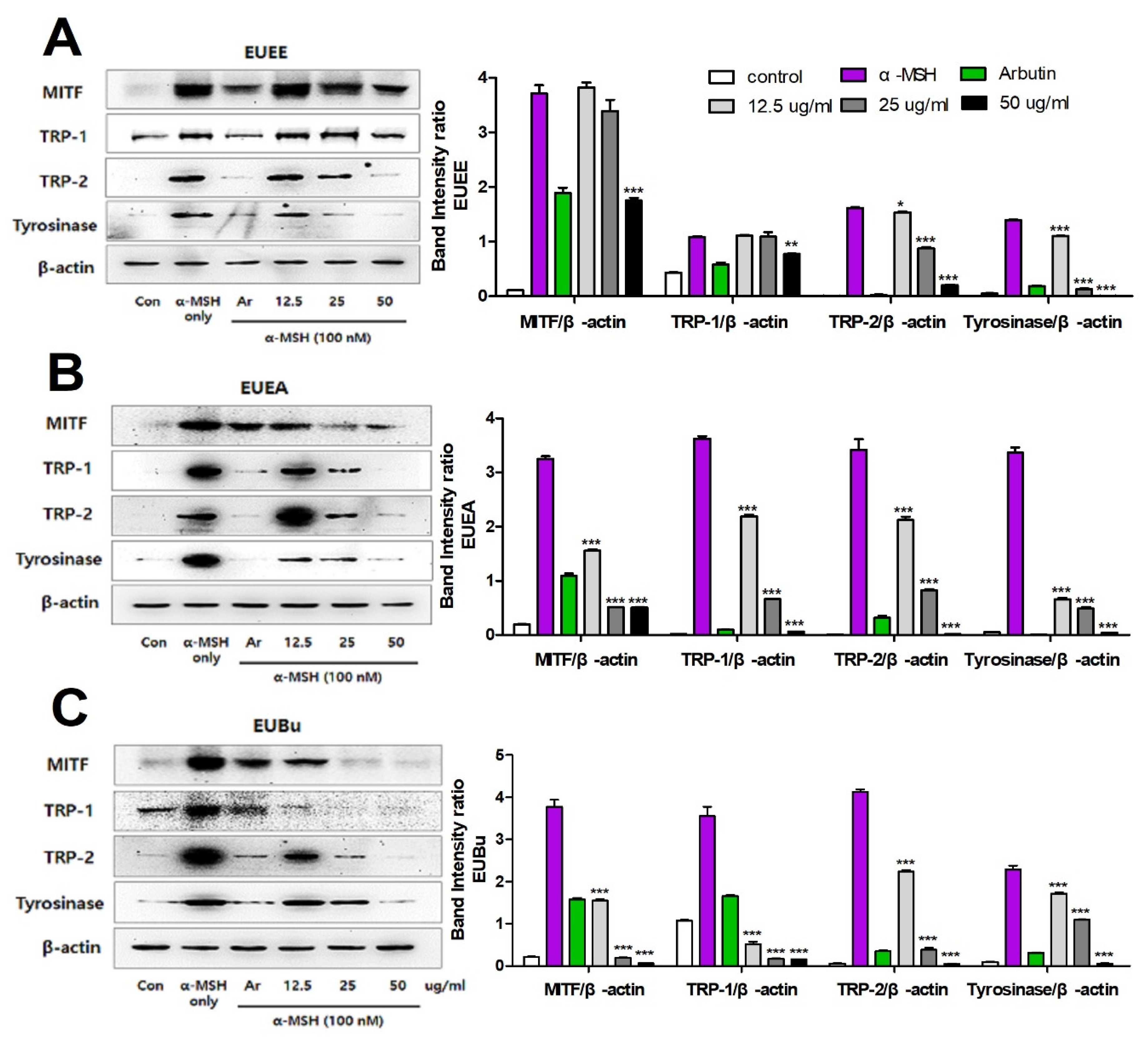 Molecules 26 01308 g006