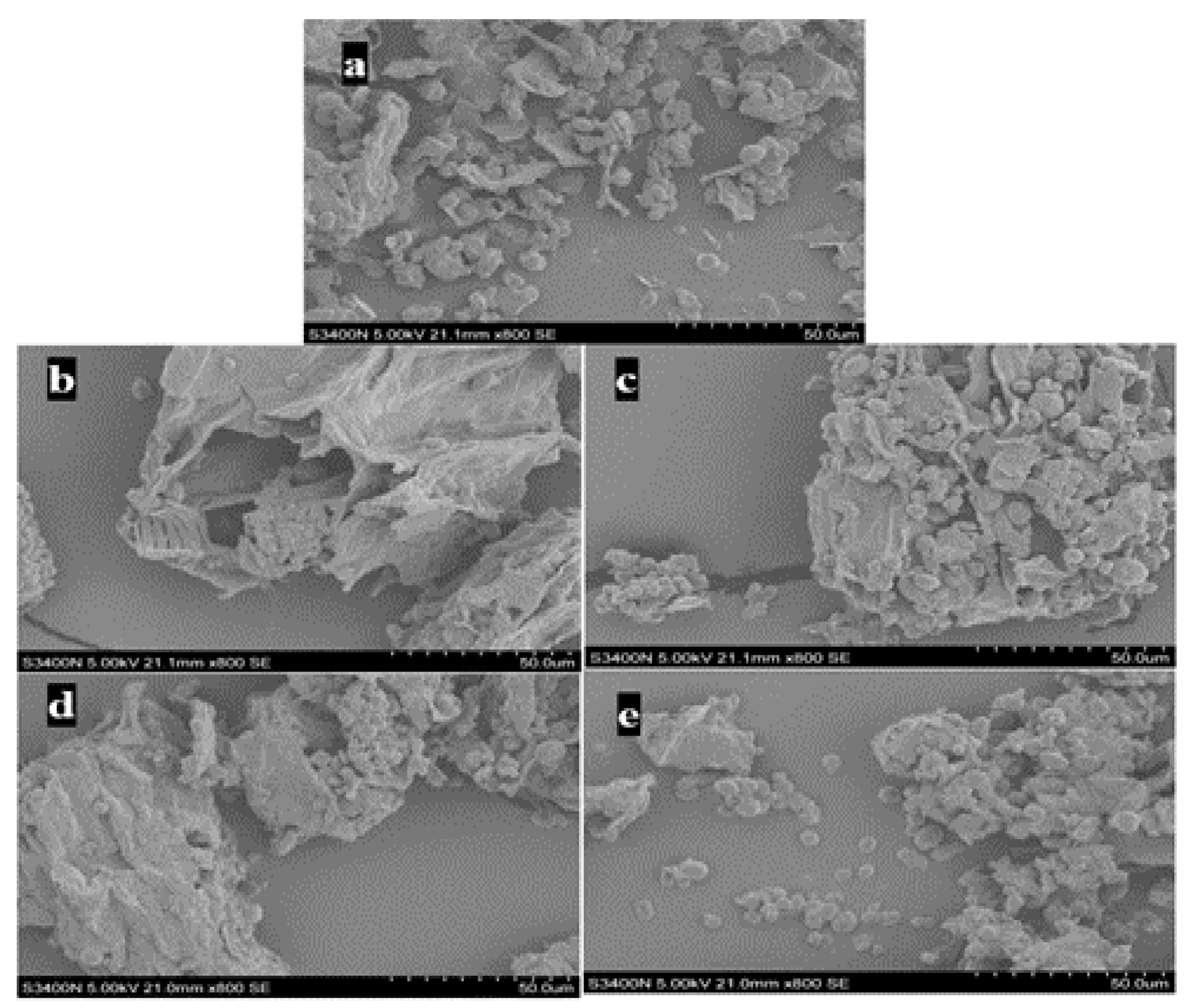 Molecules 26 01310 g002 Molecules 26 01310 g002