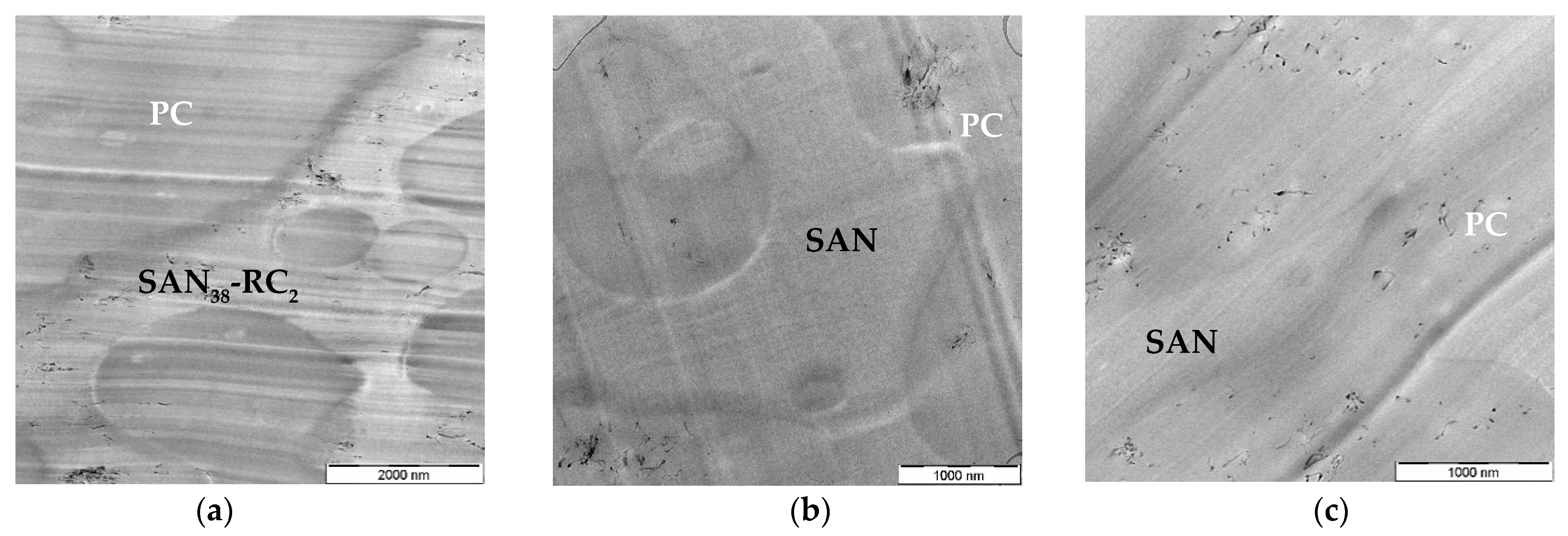 Molecules 26 01312 g002