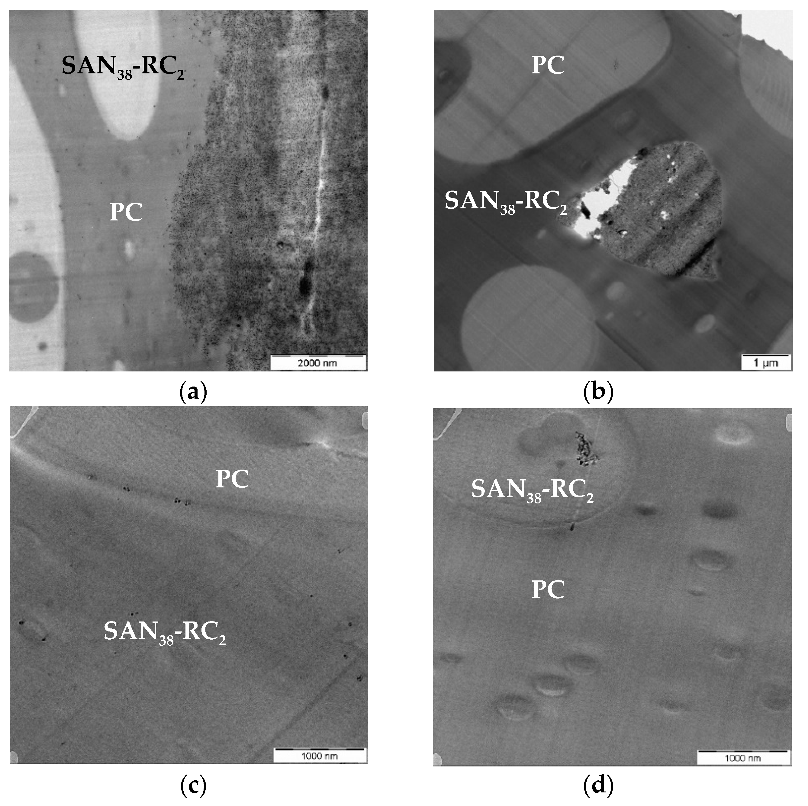 Molecules 26 01312 g006