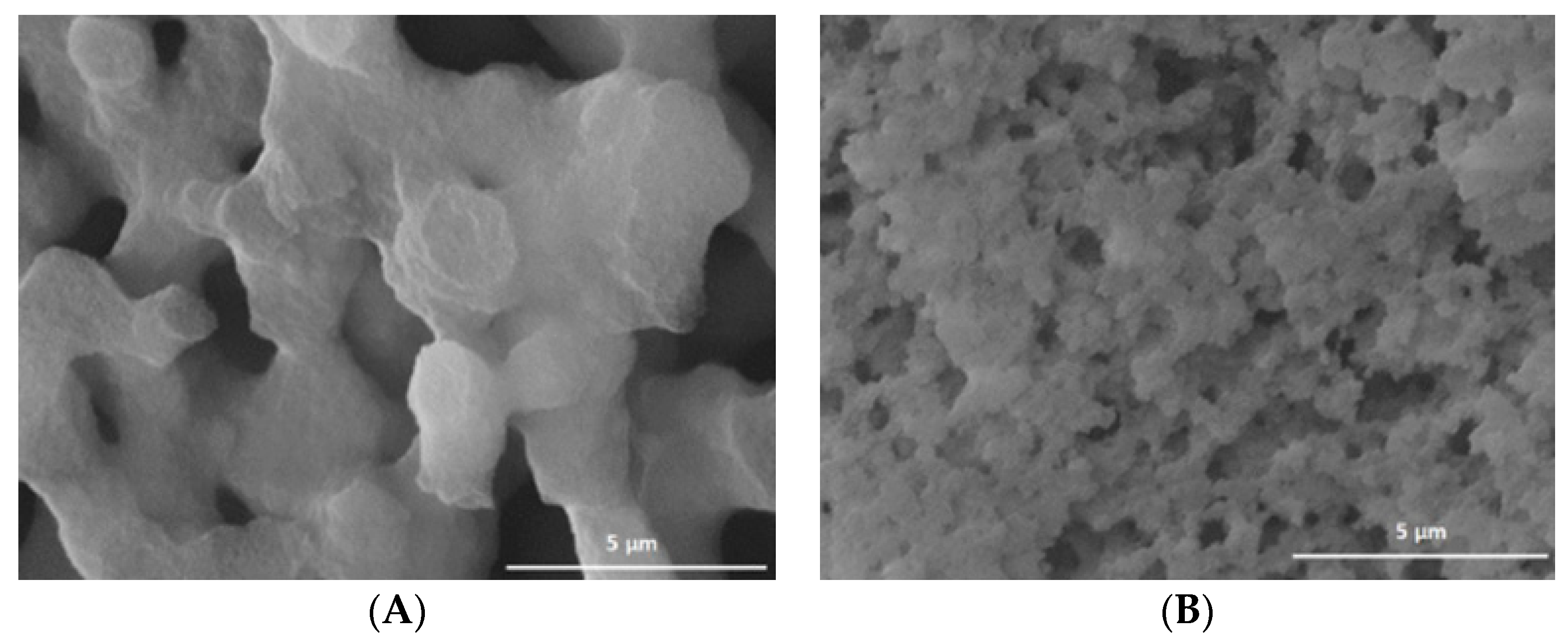 Molecules 26 01316 g001