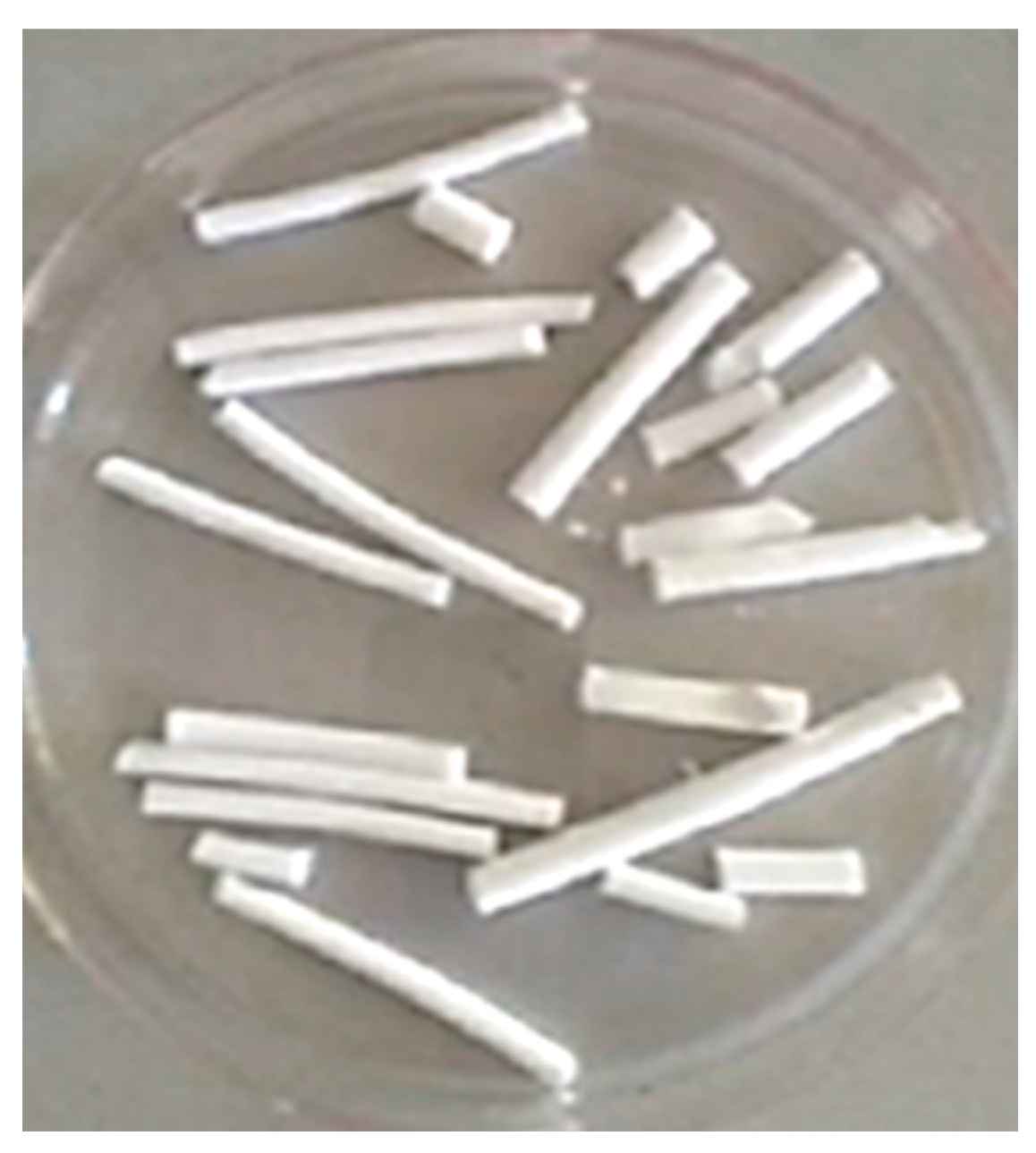 Molecules 26 01316 g007